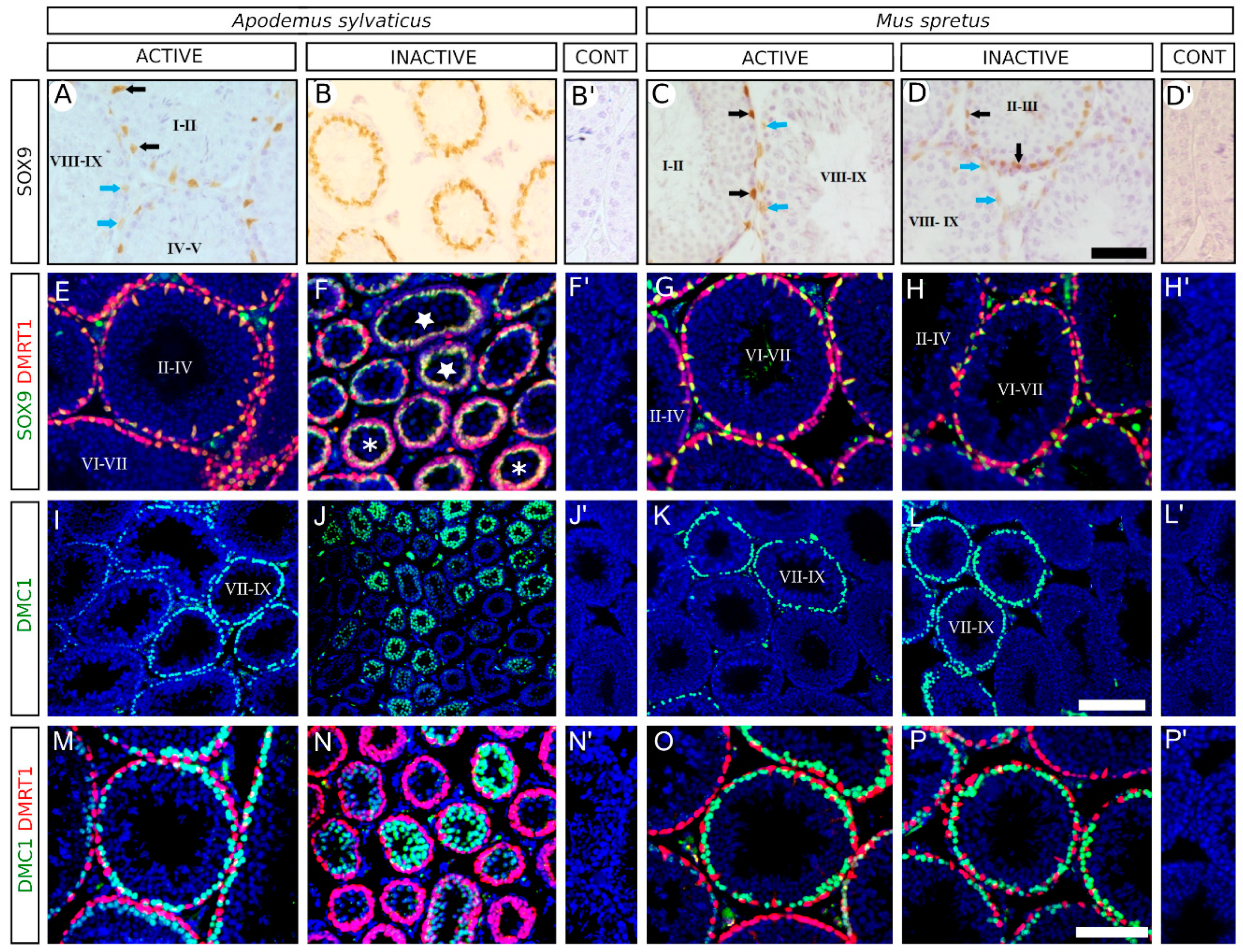 Animals 11 00243 g002