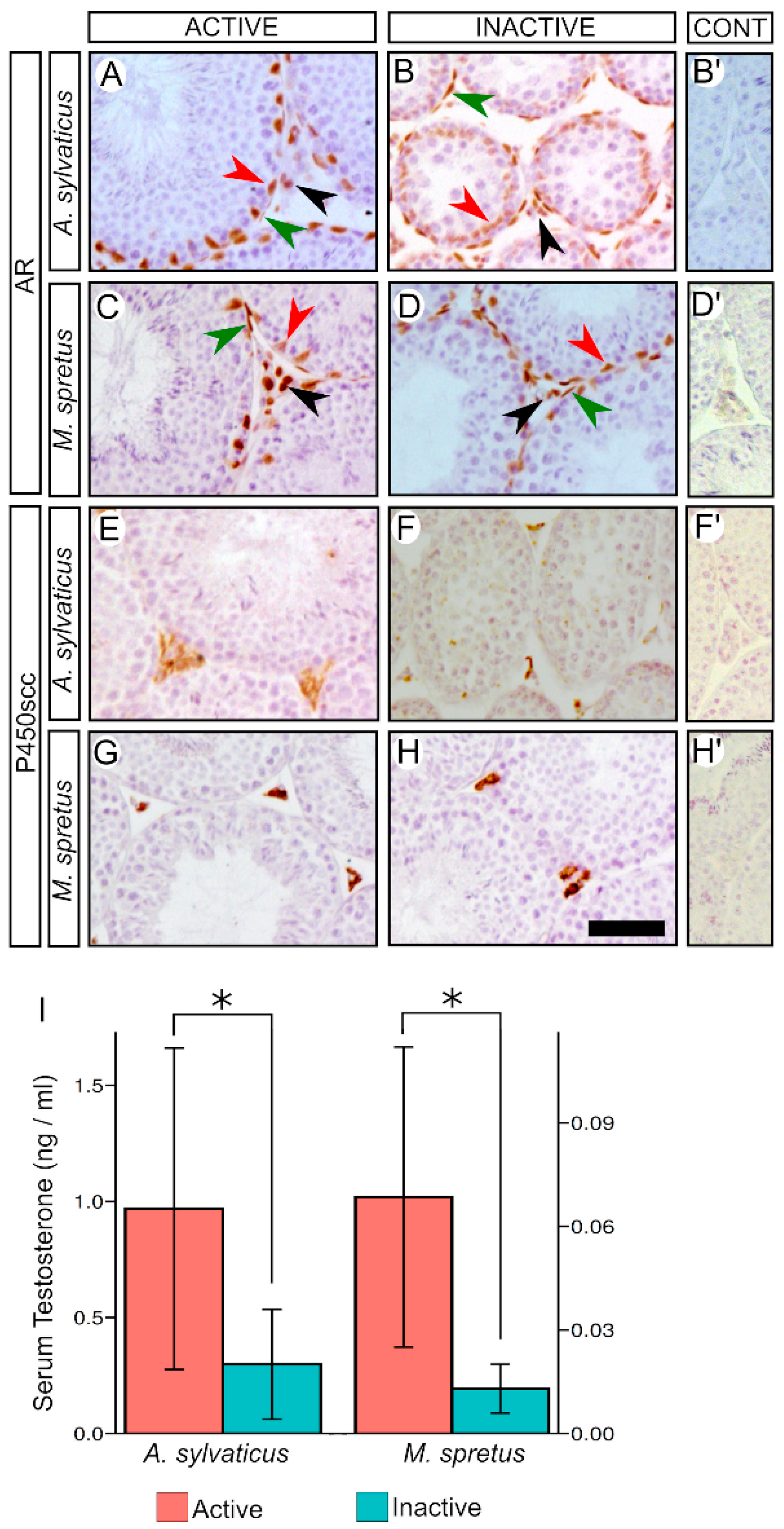 Animals 11 00243 g004