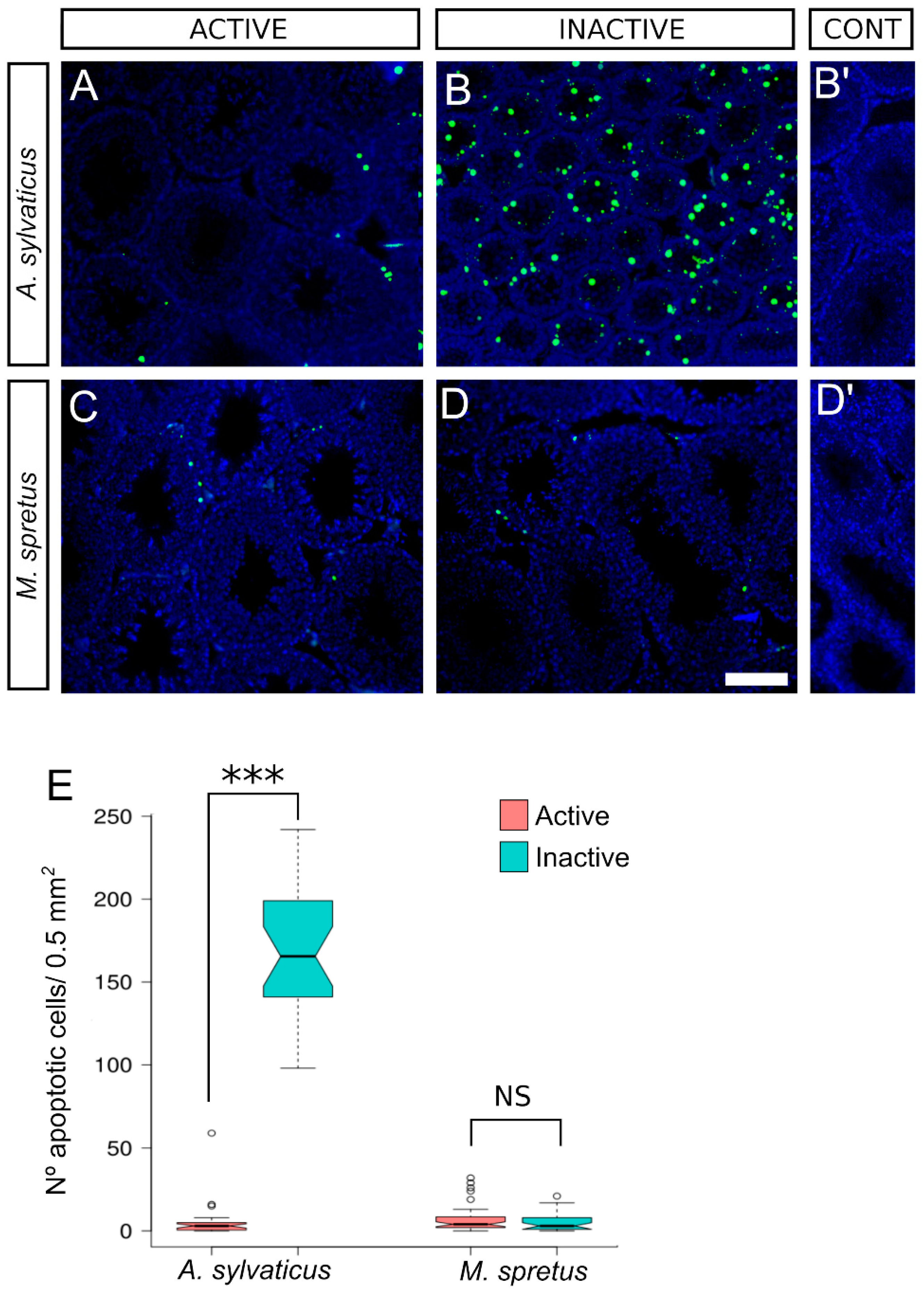 Animals 11 00243 g005