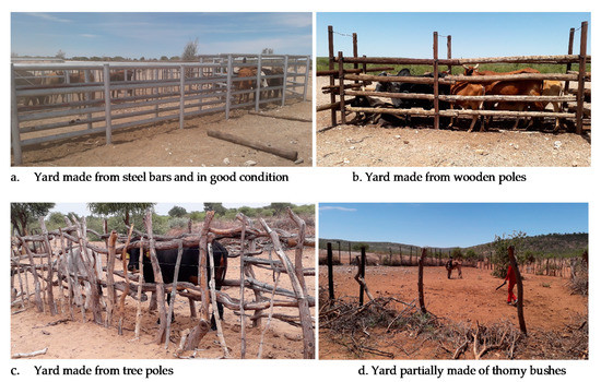 Animals 11 00250 g0a1