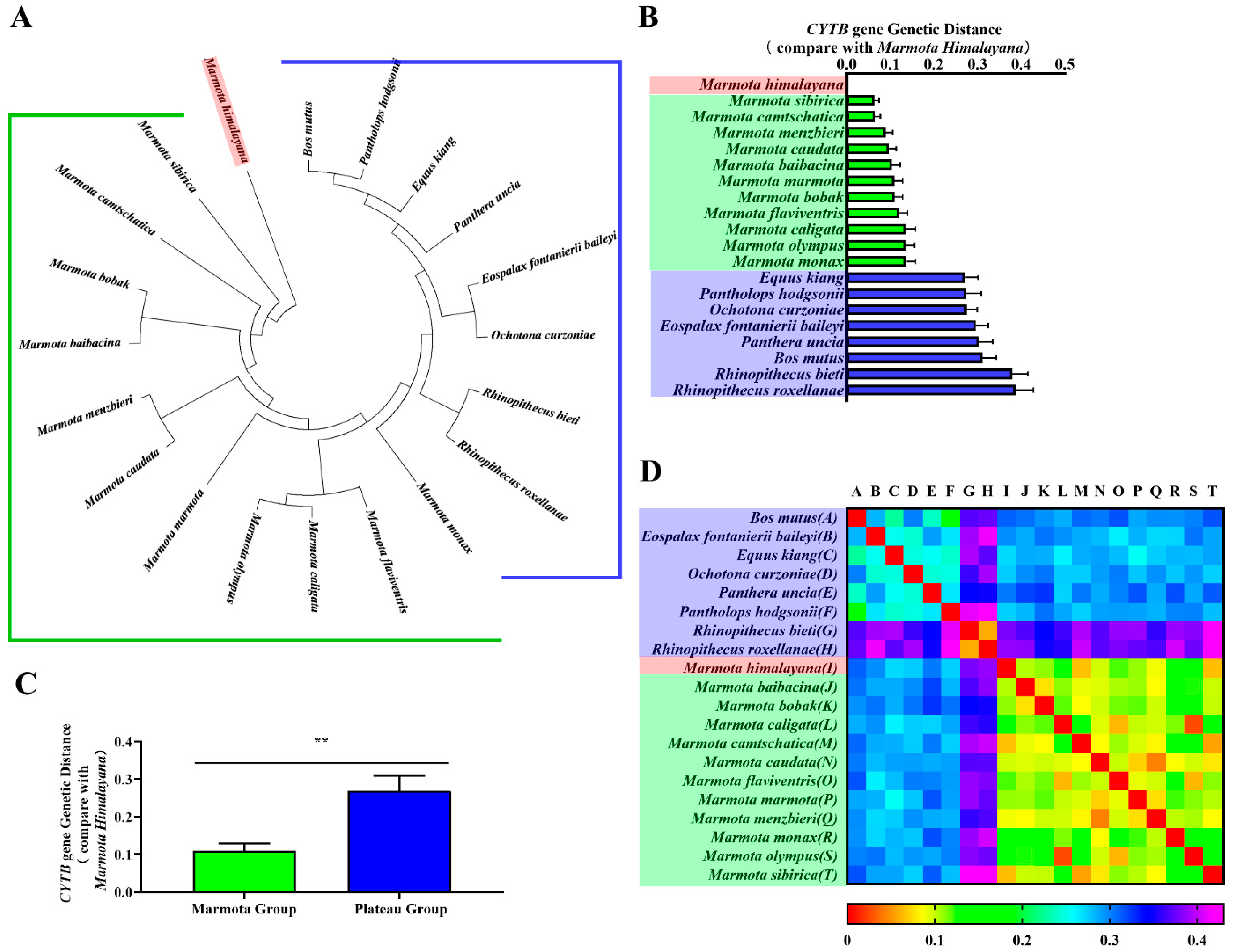Animals 11 00251 g002