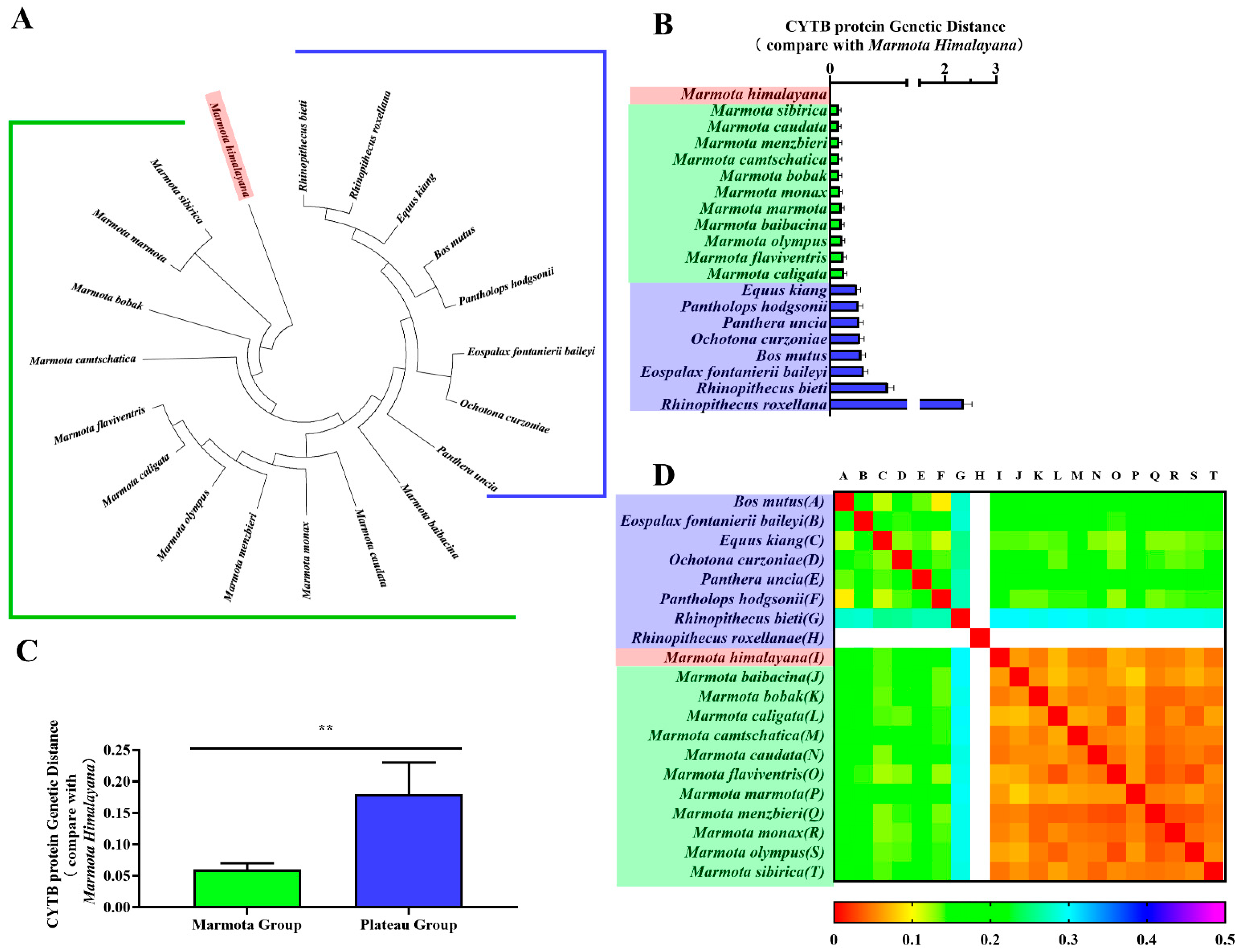 Animals 11 00251 g003