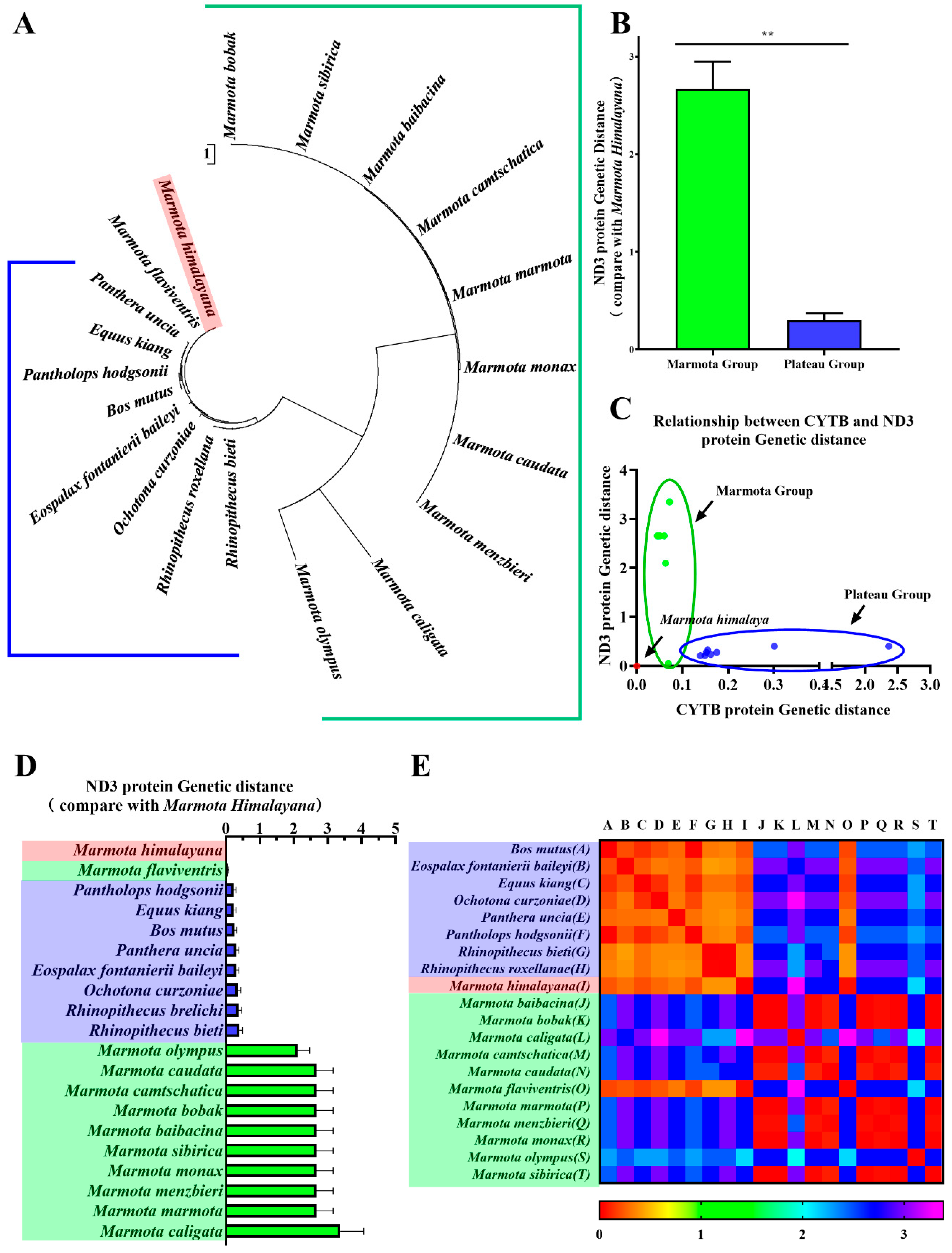 Animals 11 00251 g004