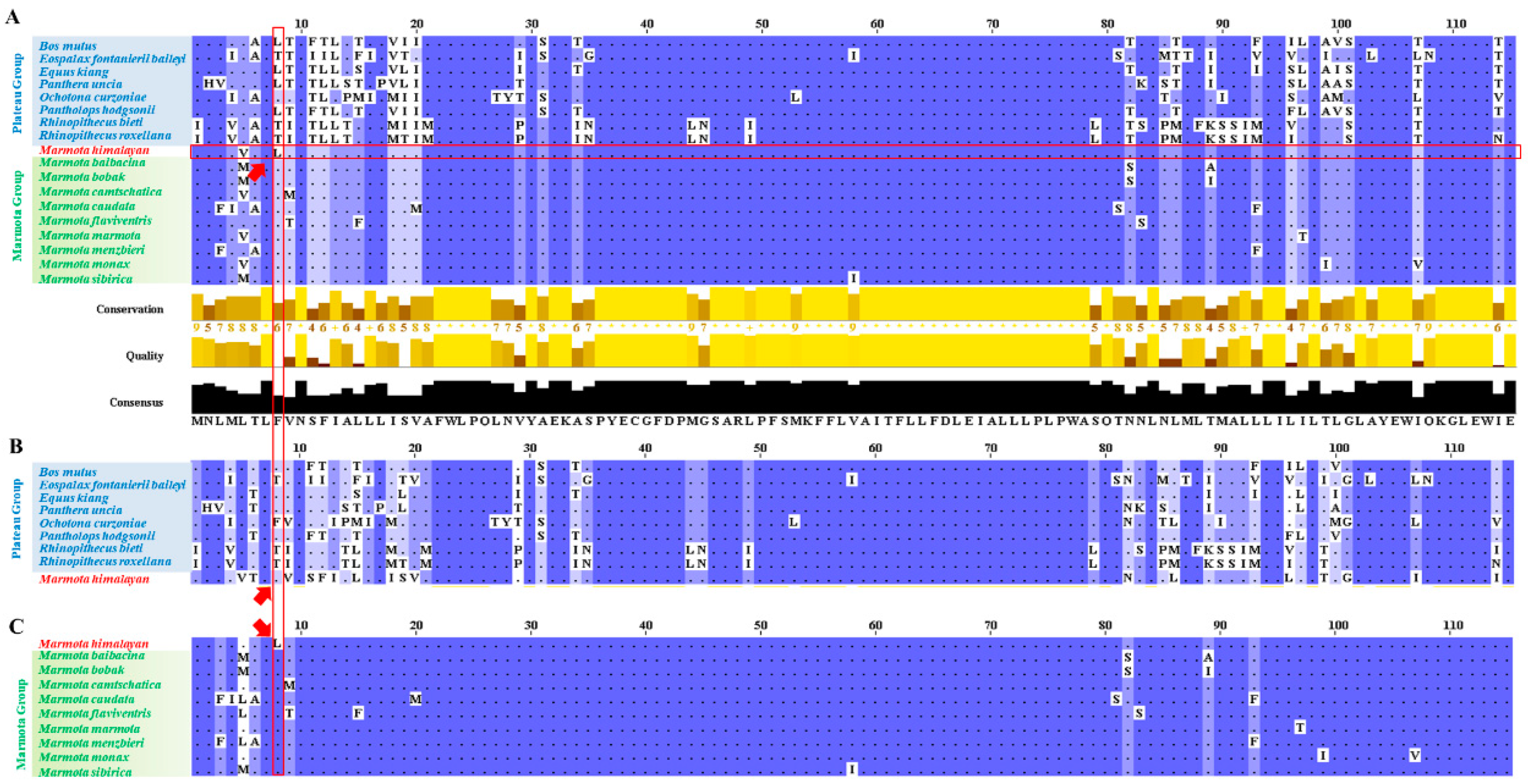 Animals 11 00251 g005