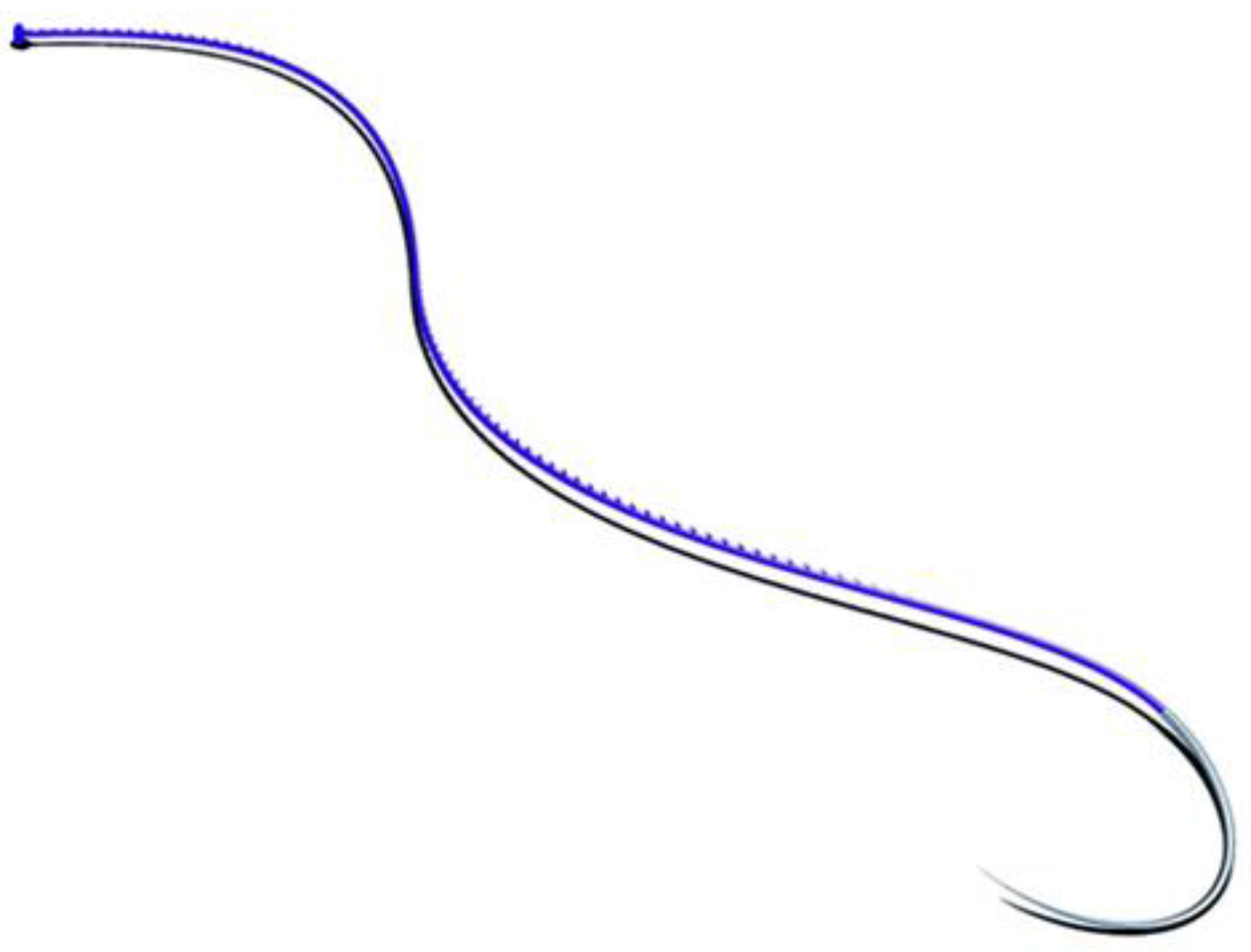 Animals 11 00255 g001