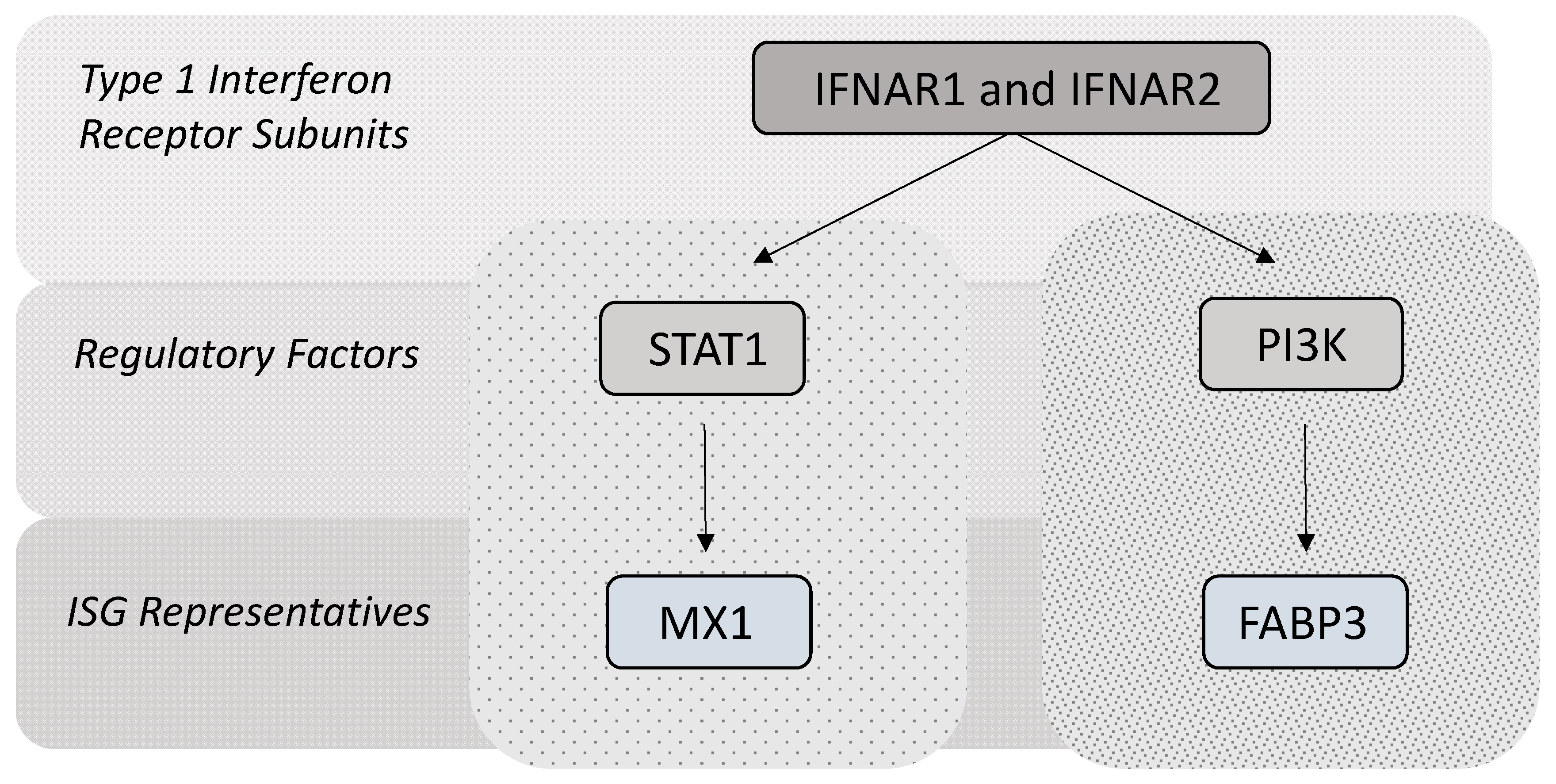 Animals 11 00262 g001