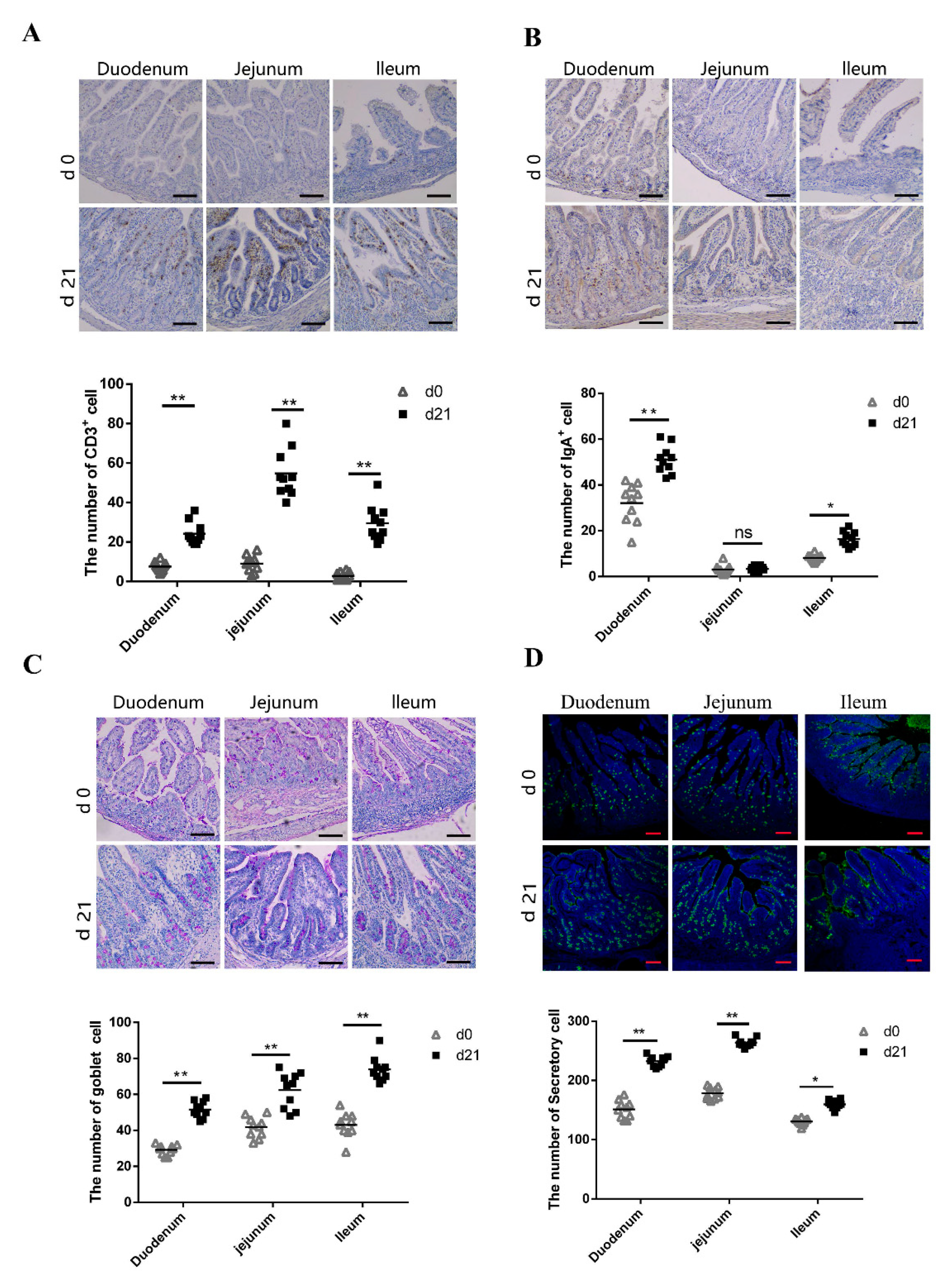 Animals 11 00271 g003