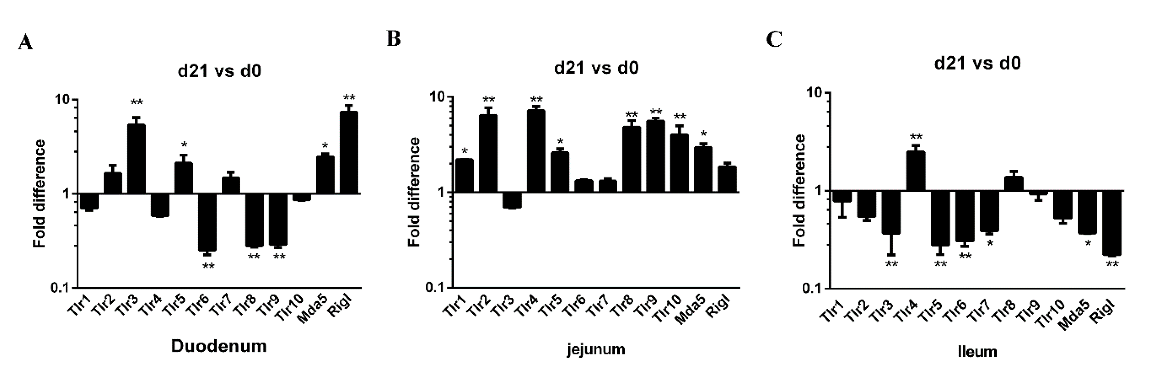 Animals 11 00271 g004