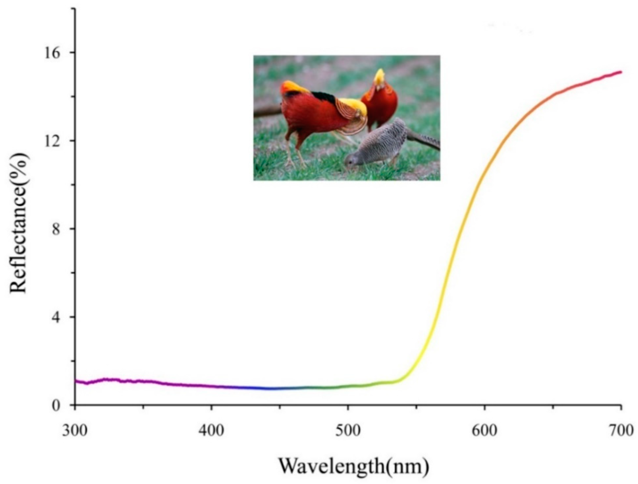 Animals 11 00276 g001