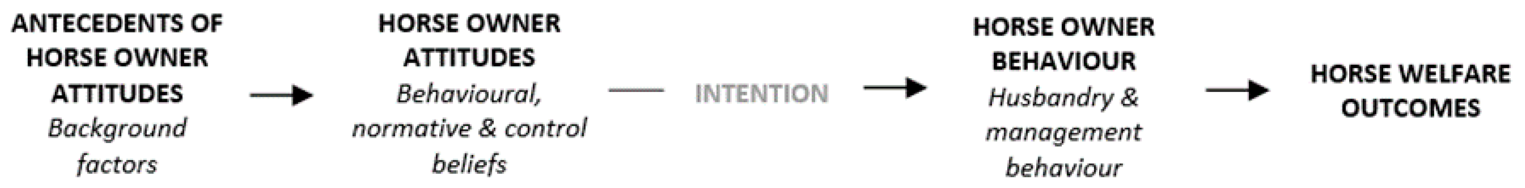 Animals 11 00278 g001