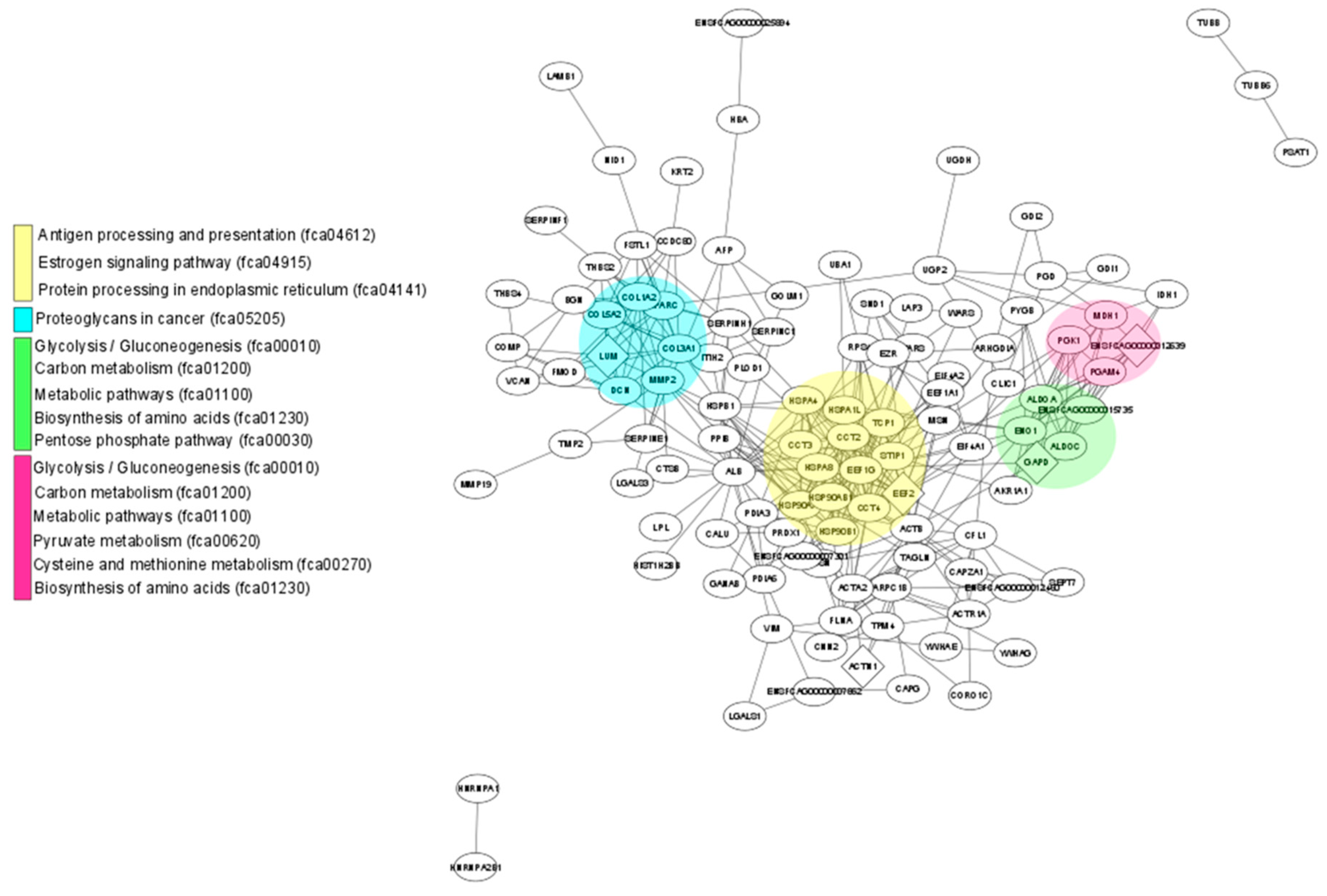 Animals 11 00295 g004