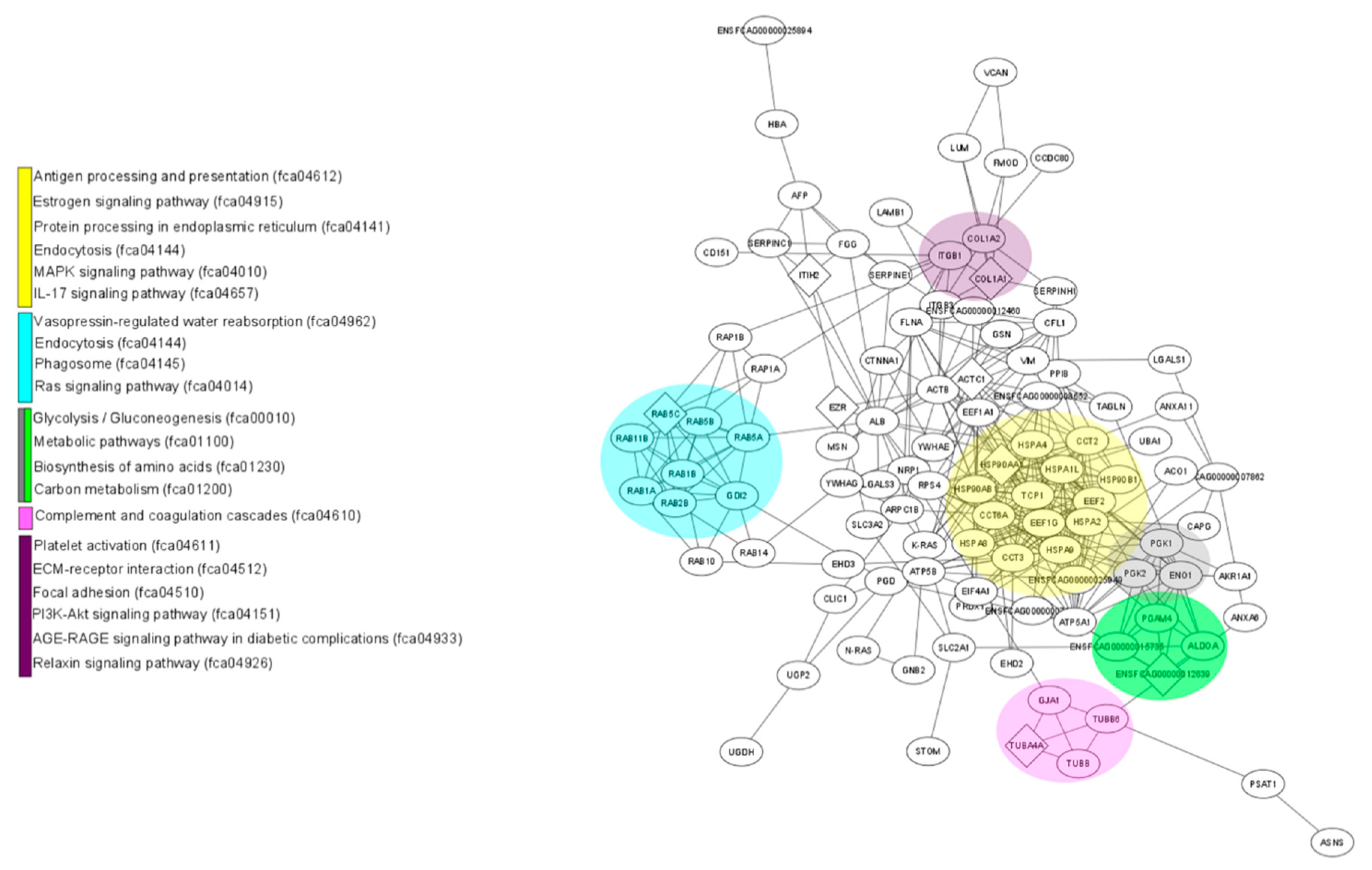 Animals 11 00295 g005