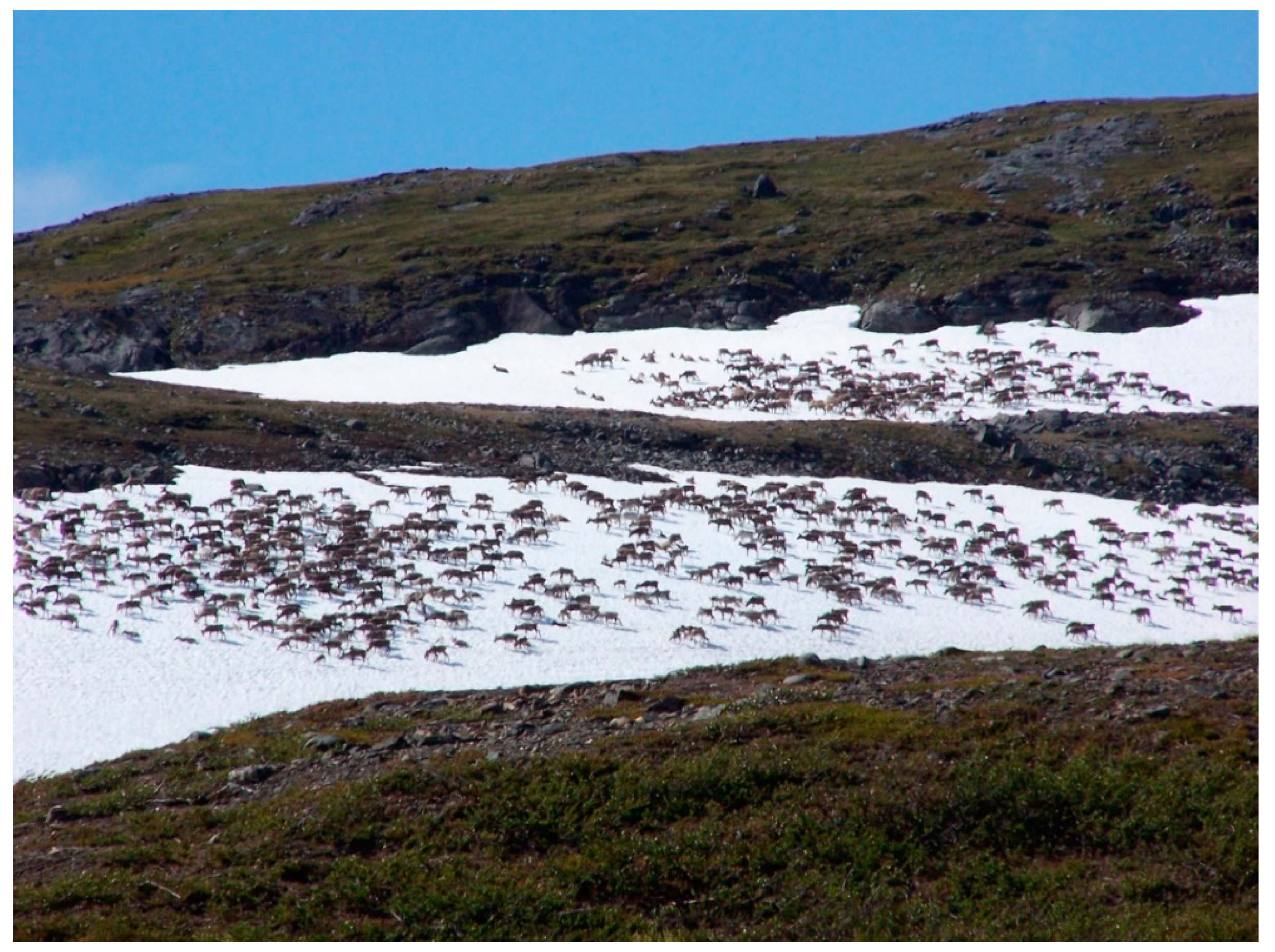 Animals 11 00297 g002 Animals 11 00297 g002