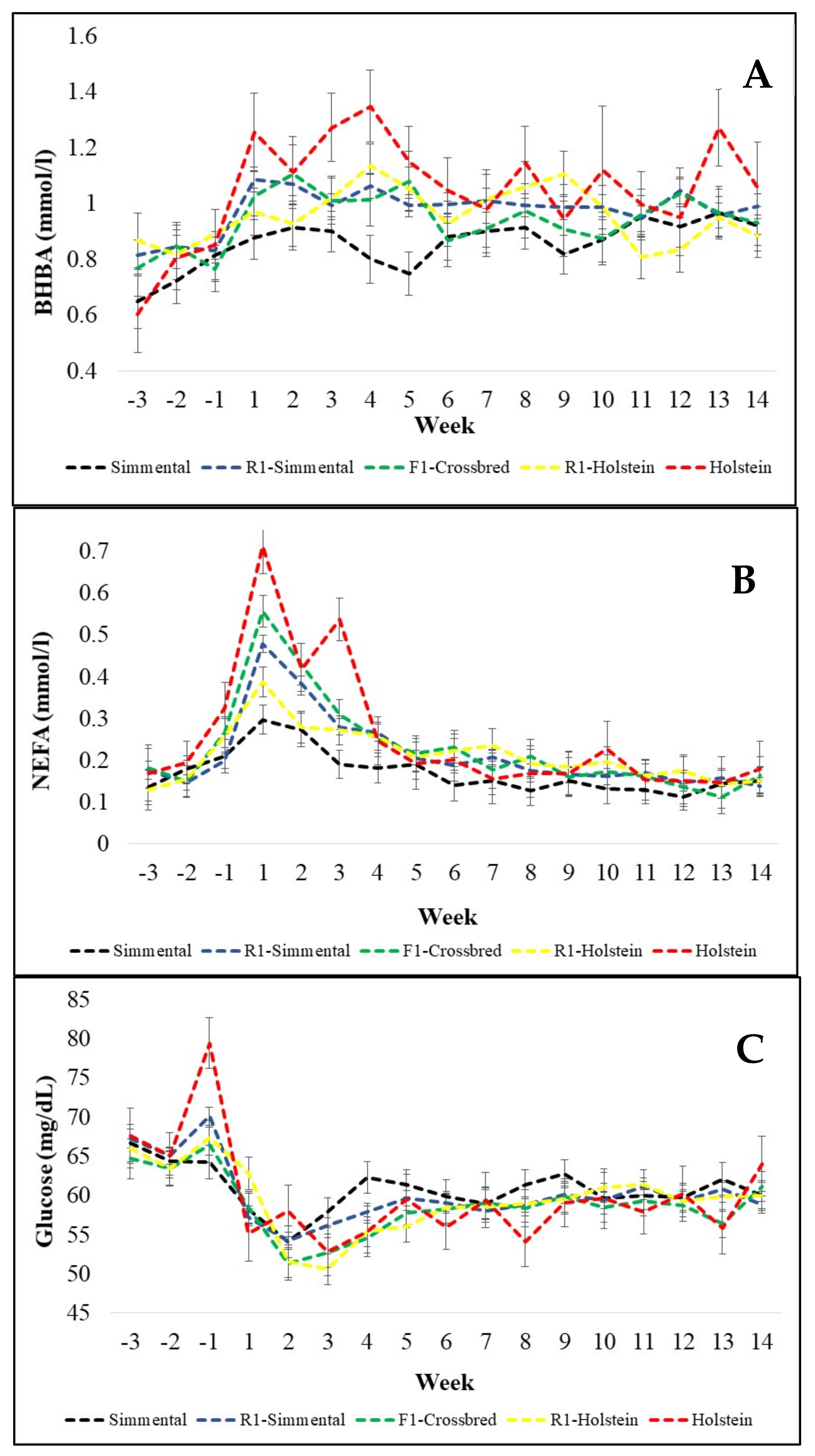 Animals 11 00309 g002