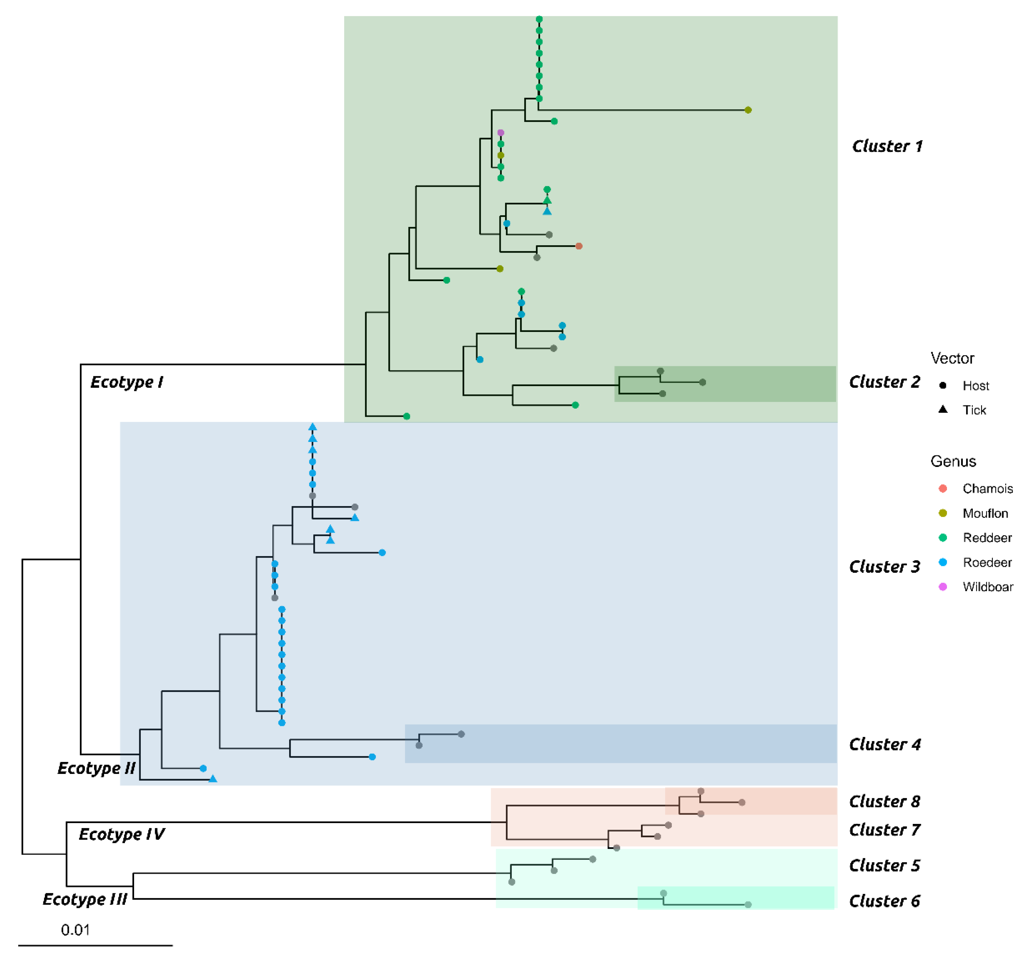Animals 11 00310 g001