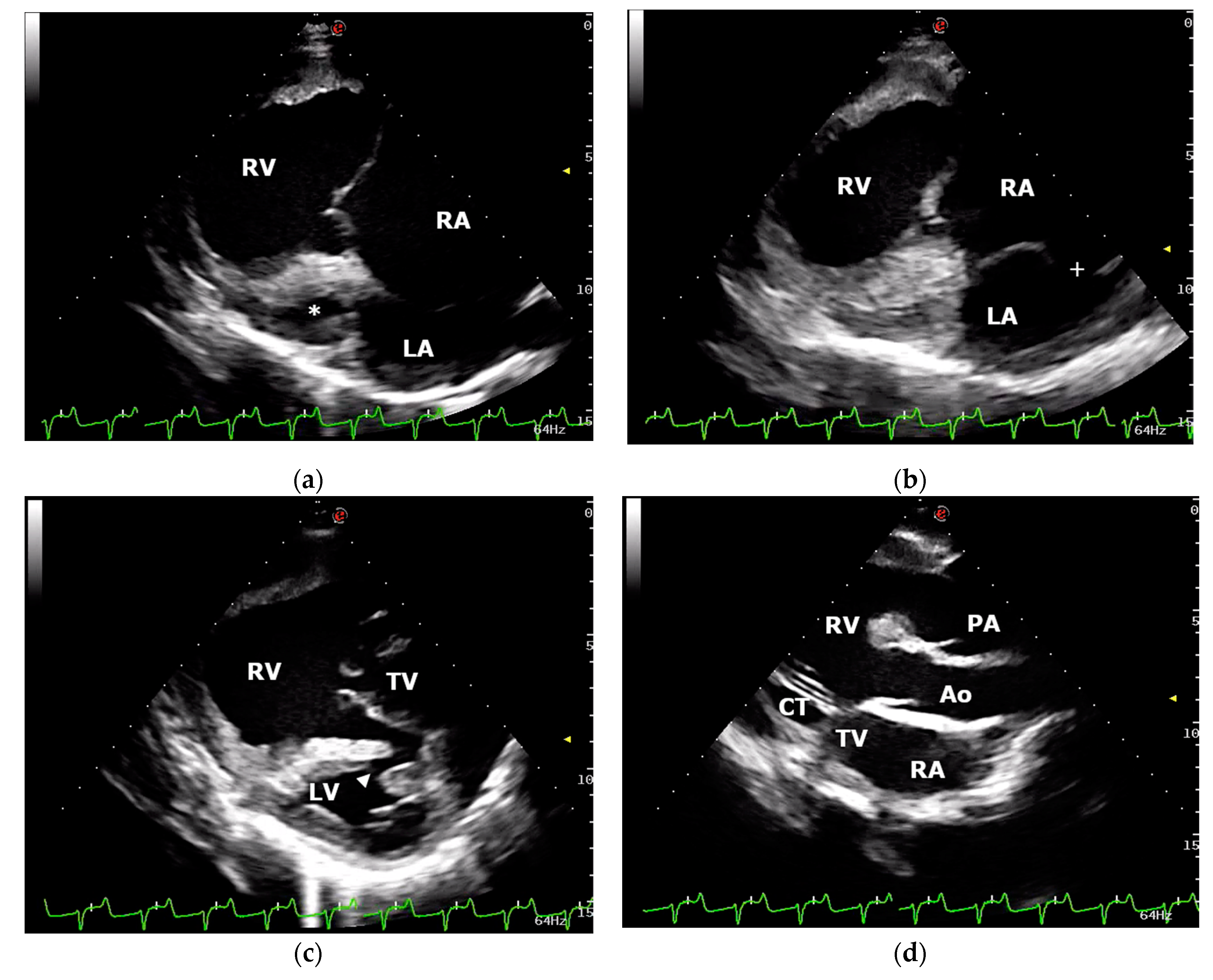 Animals 11 00318 g001 Animals 11 00318 g001
