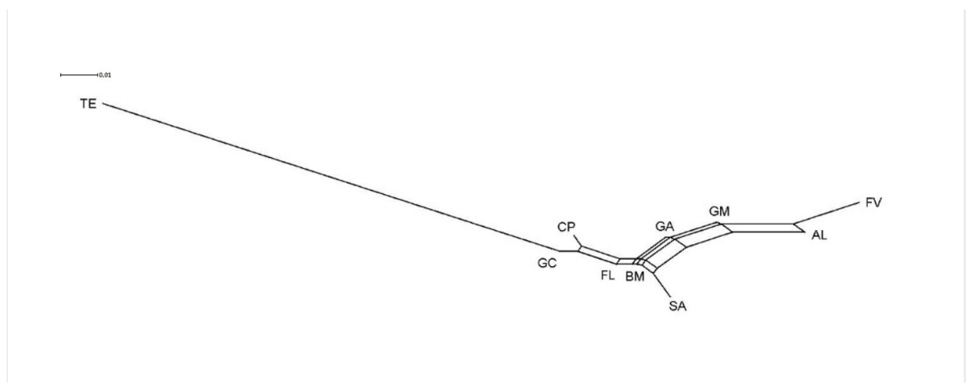 Animals 11 00333 g001