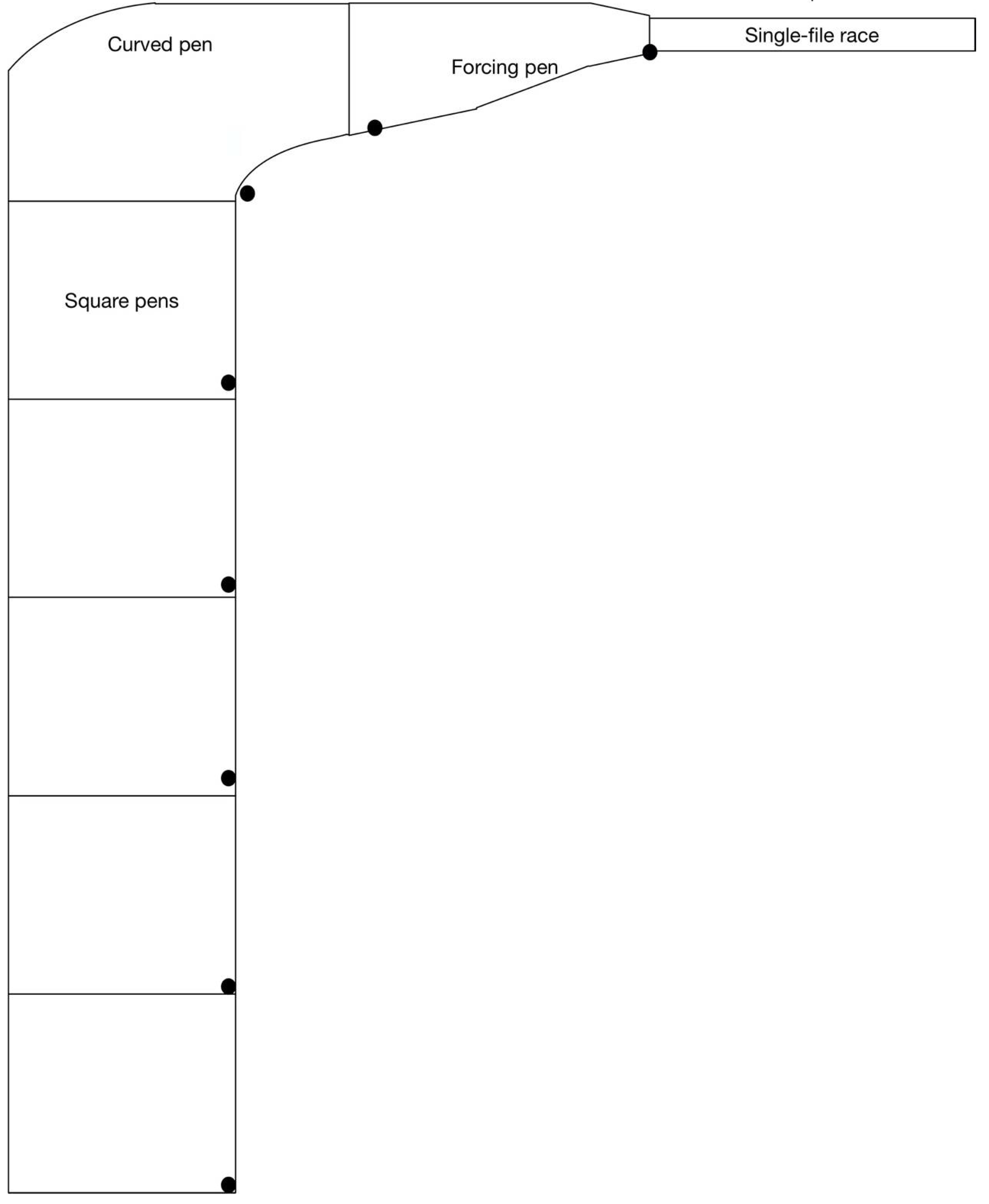 Animals 11 00344 g001