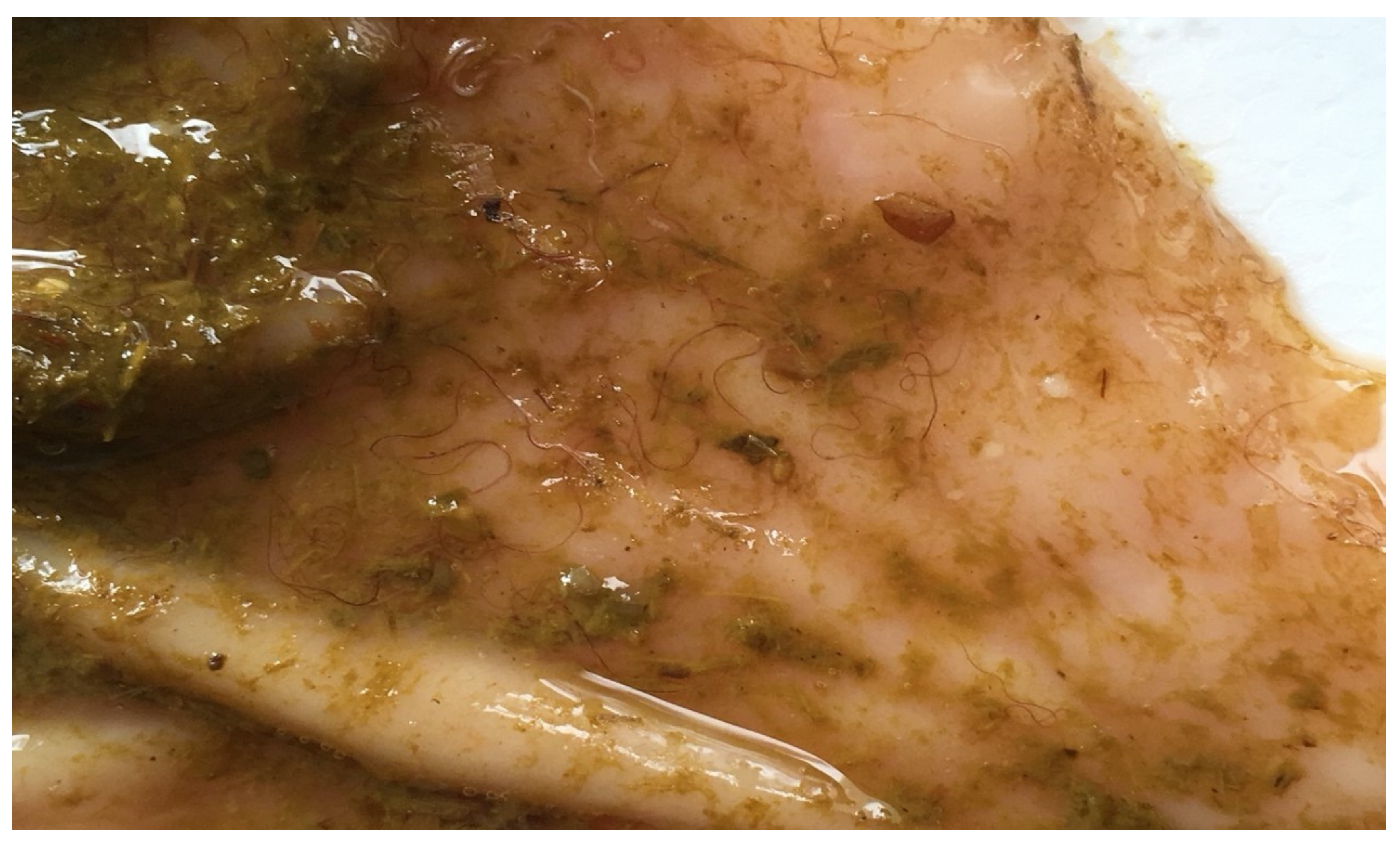 Animals 11 00363 g001