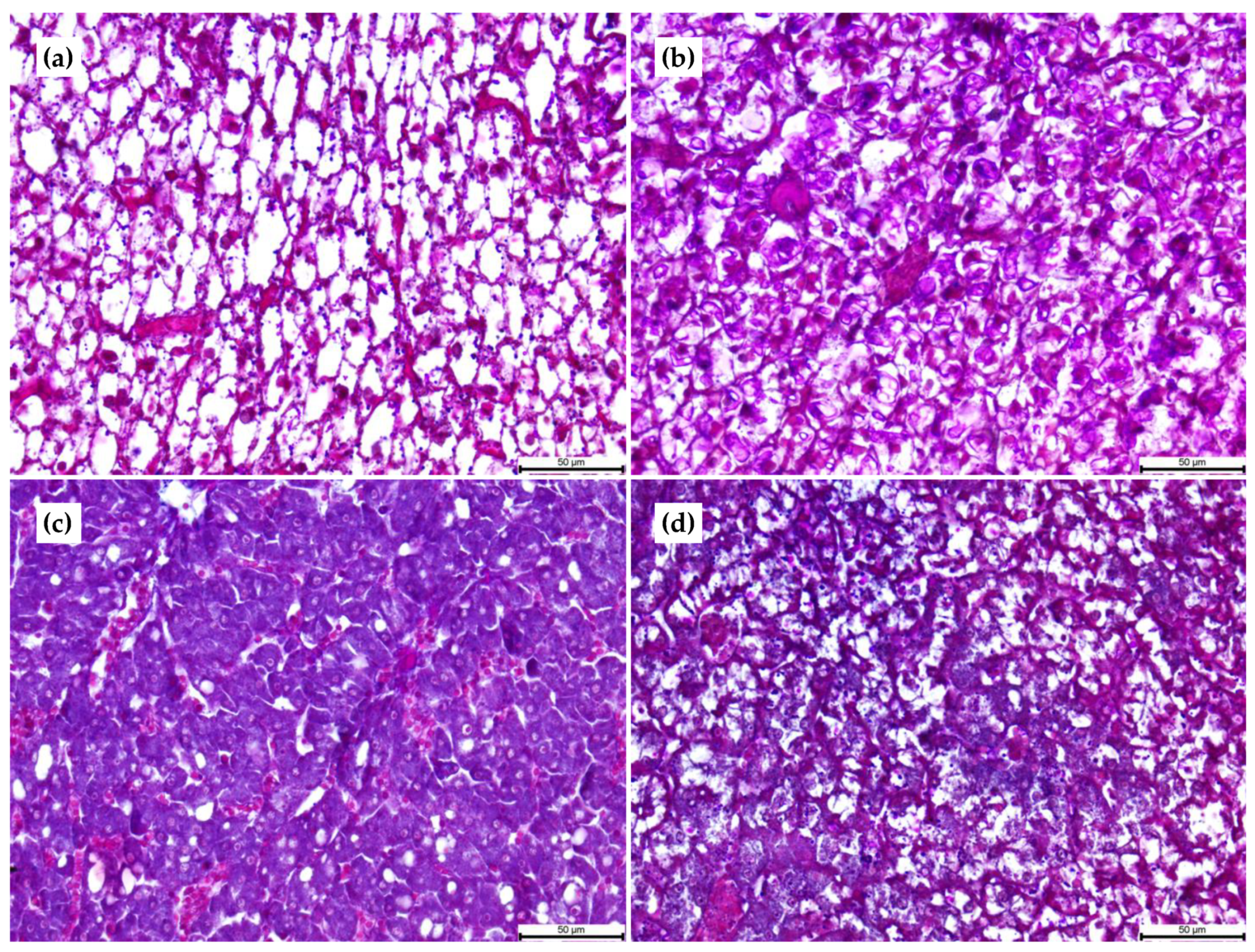 Animals 11 00369 g001 Animals 11 00369 g001