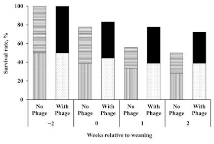 Animals 11 00372 g001
