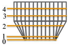 Animals 11 00379 i001 Animals 11 00379 i001