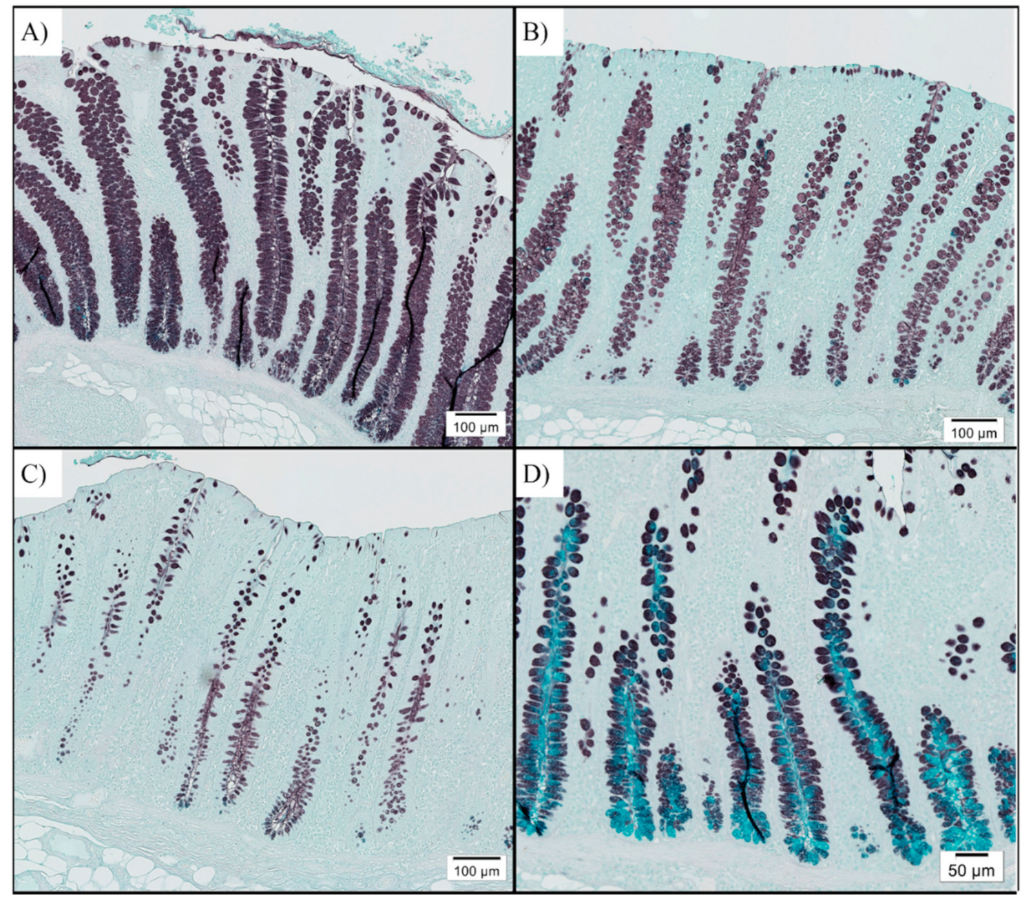 Animals 11 00396 g002