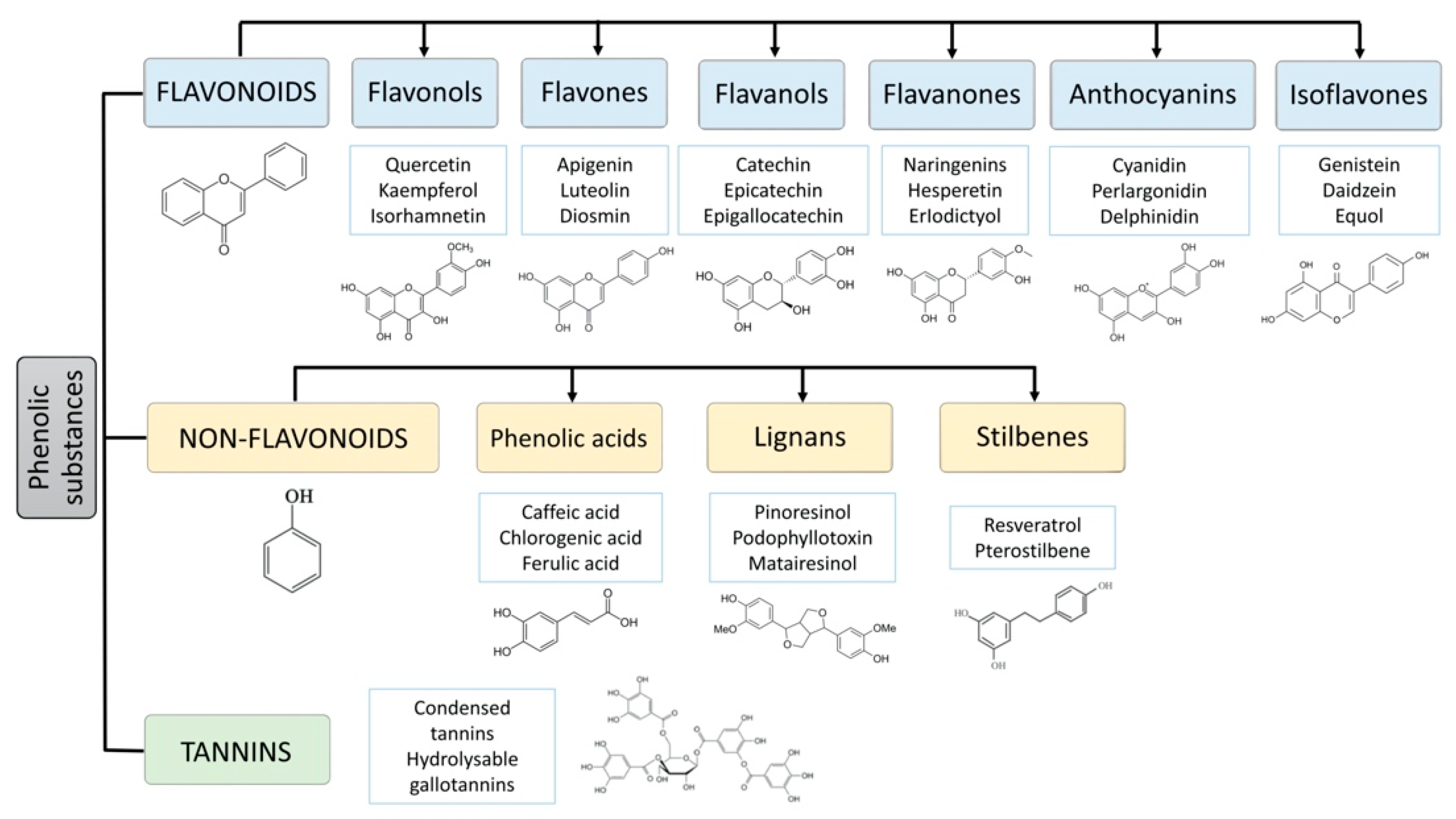 Animals 11 00401 g001