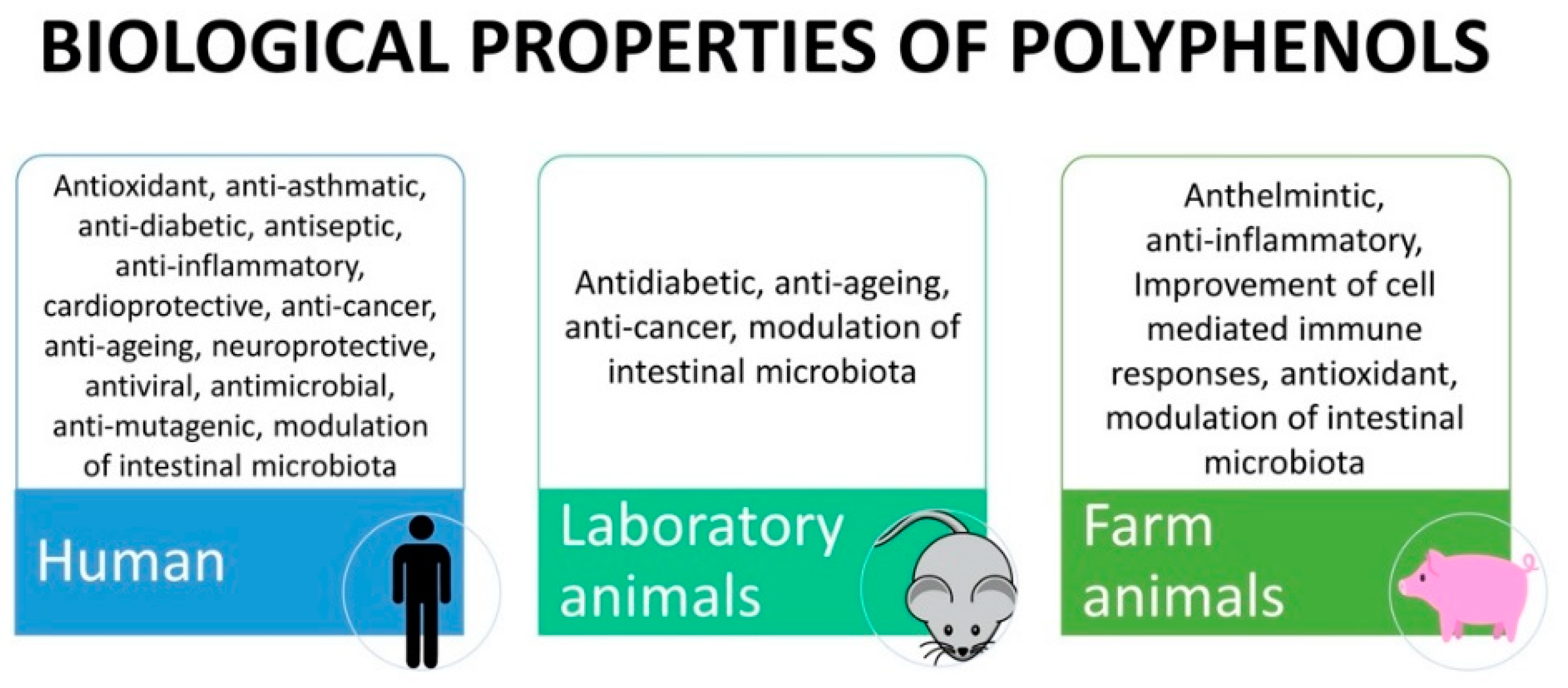 Animals 11 00401 g002