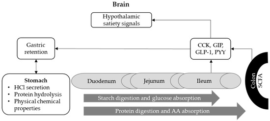Animals 11 00402 g004