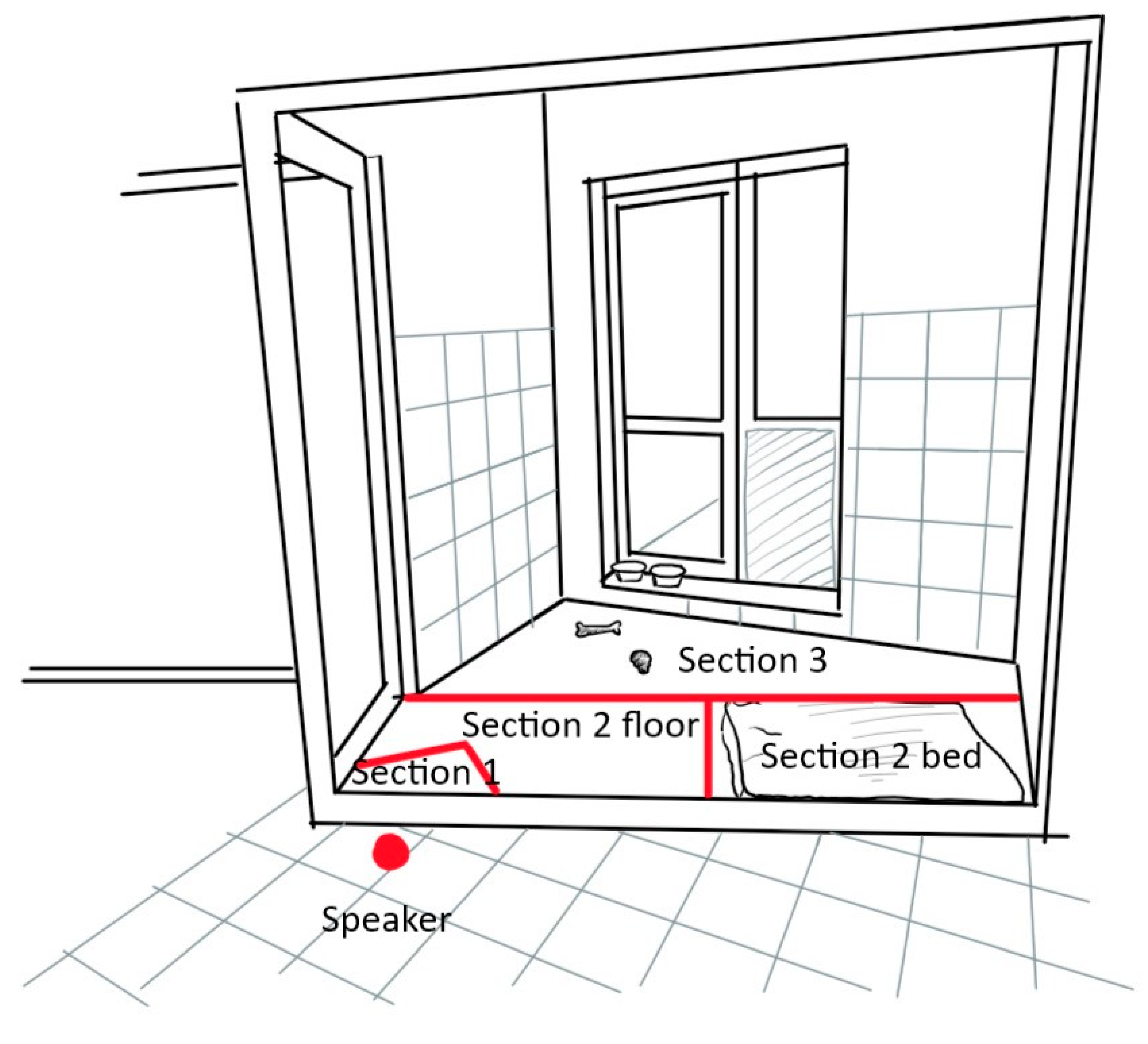 Animals 11 00406 g001