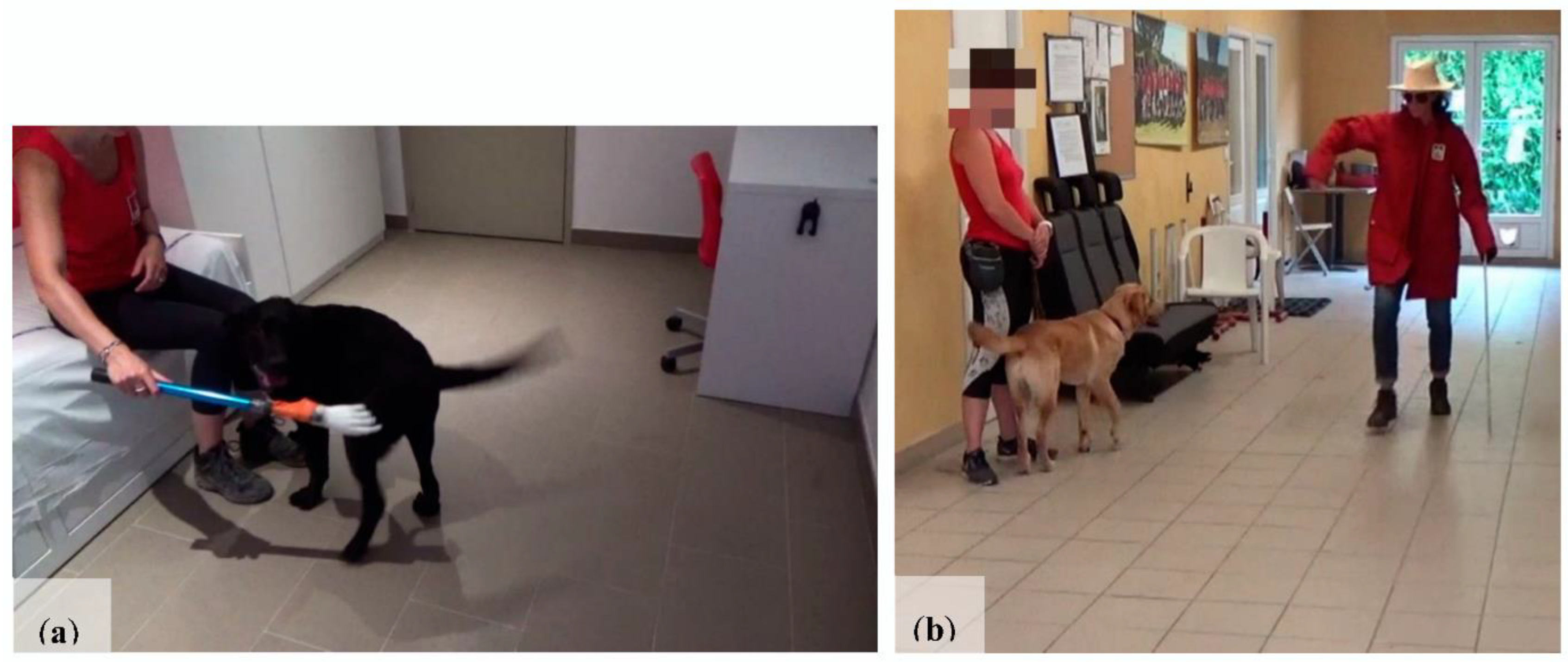 Animals 11 00412 g001 Animals 11 00412 g001