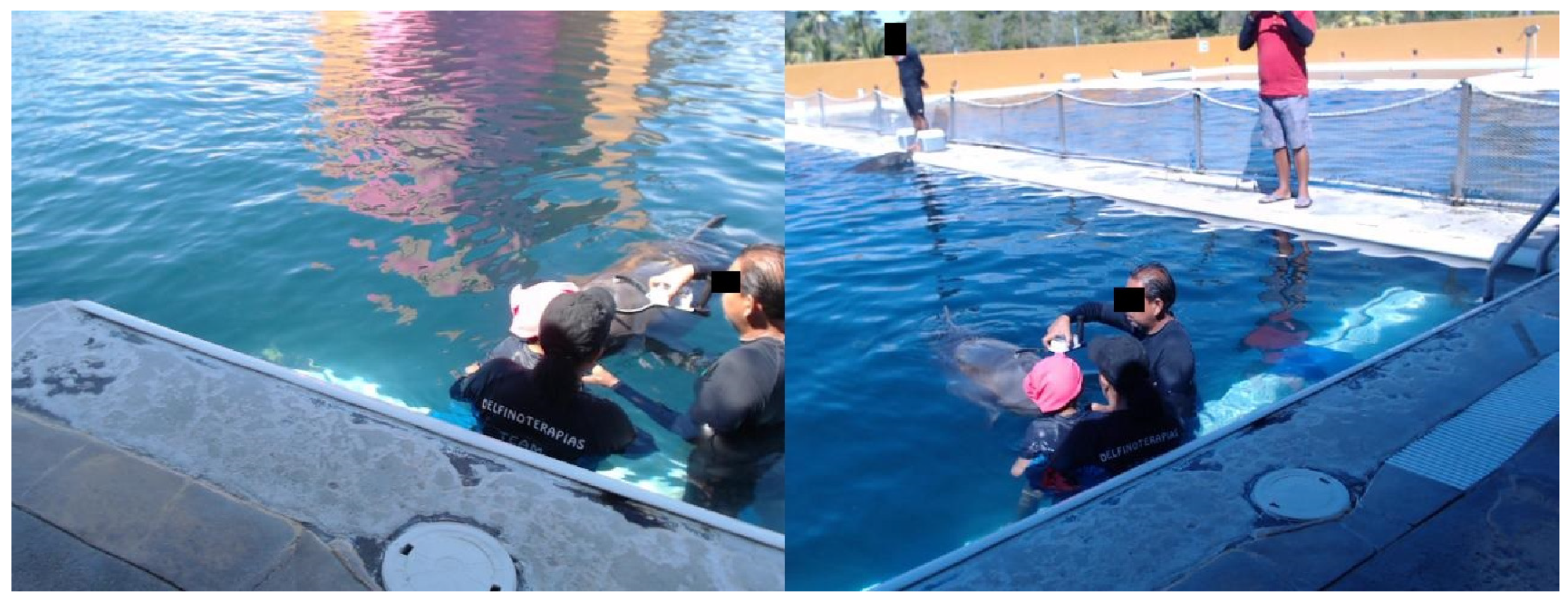 Animals 11 00417 g006