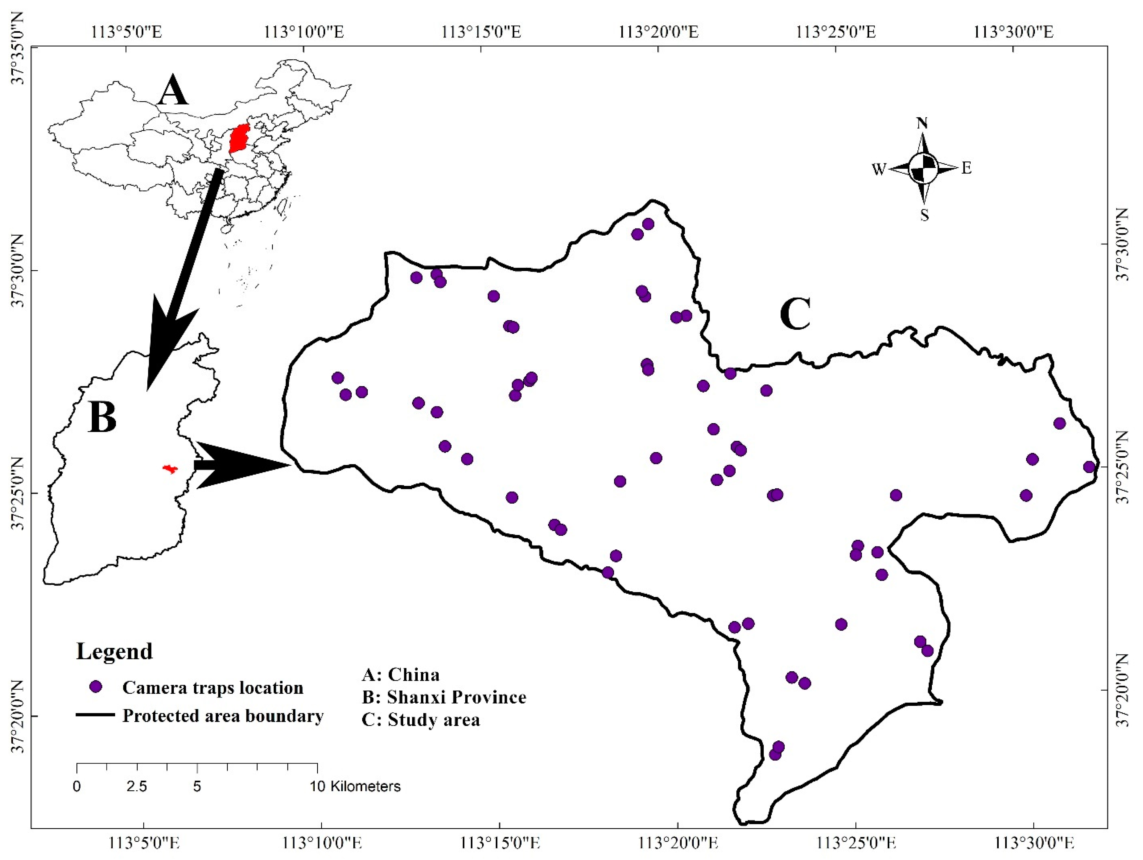 Animals 11 00429 g001