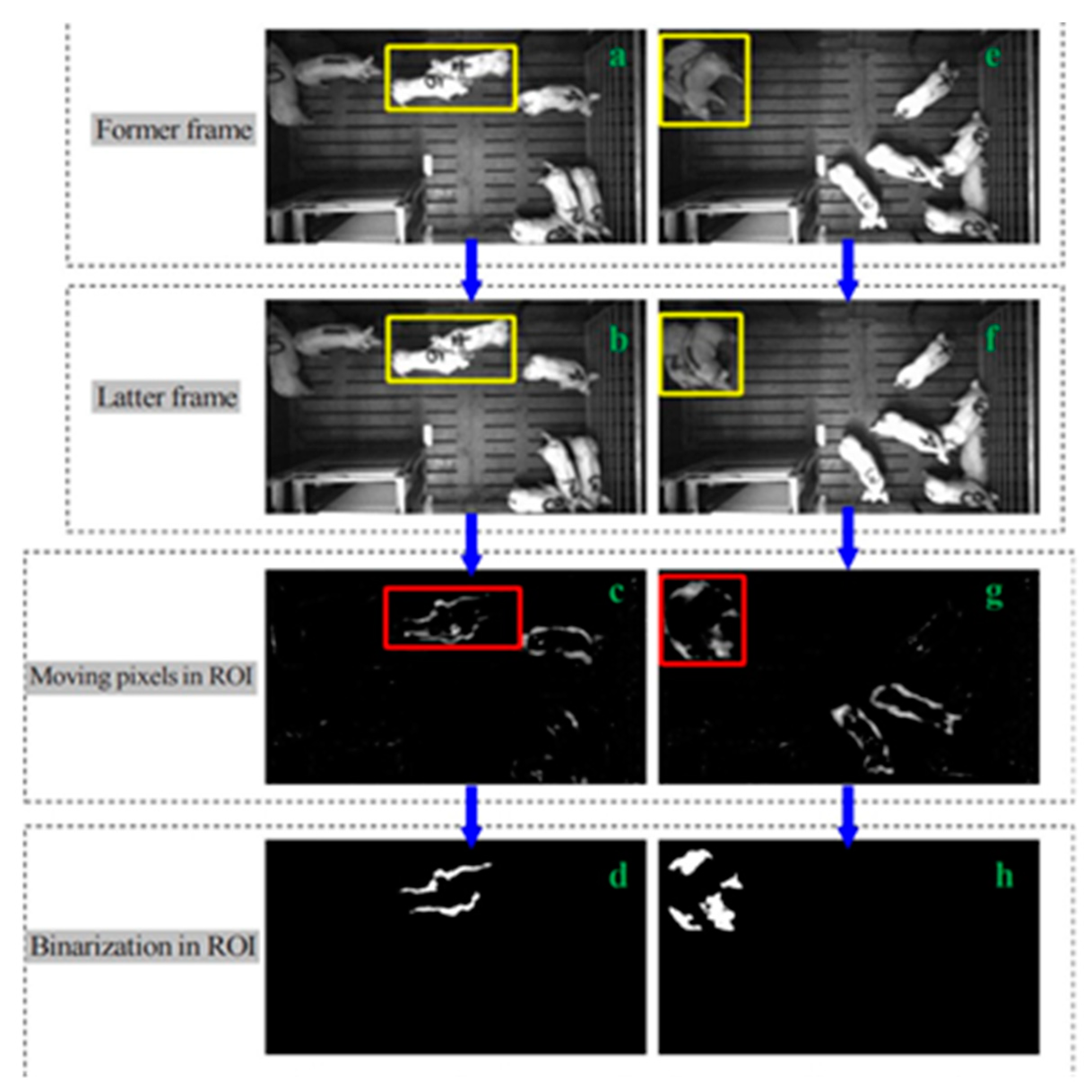 Animals 11 00434 g001 Animals 11 00434 g001