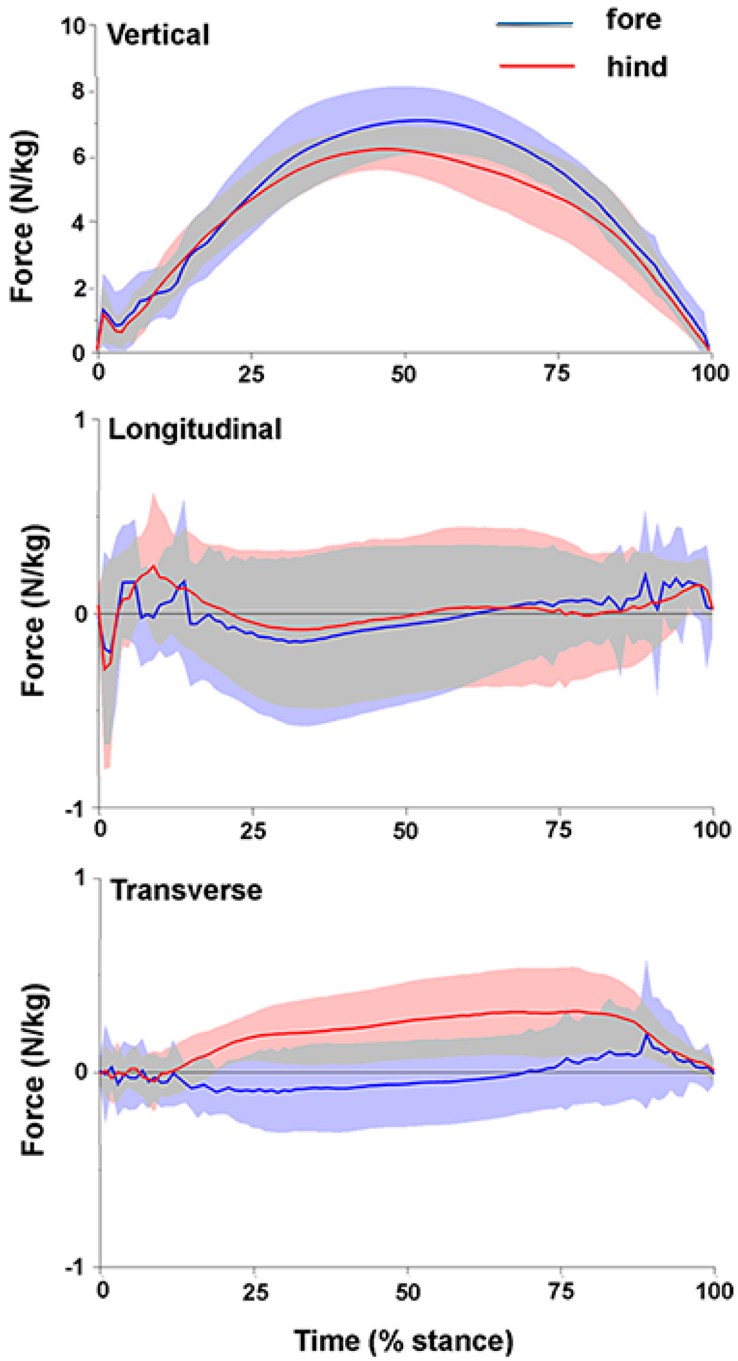 Animals 11 00436 g002