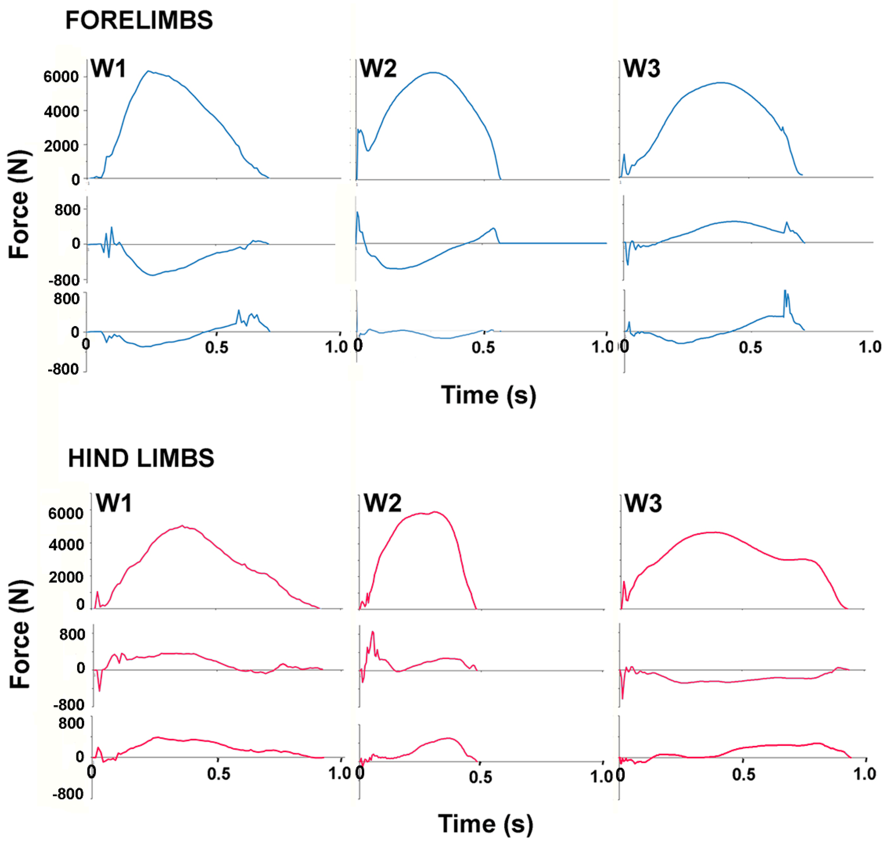 Animals 11 00436 g003