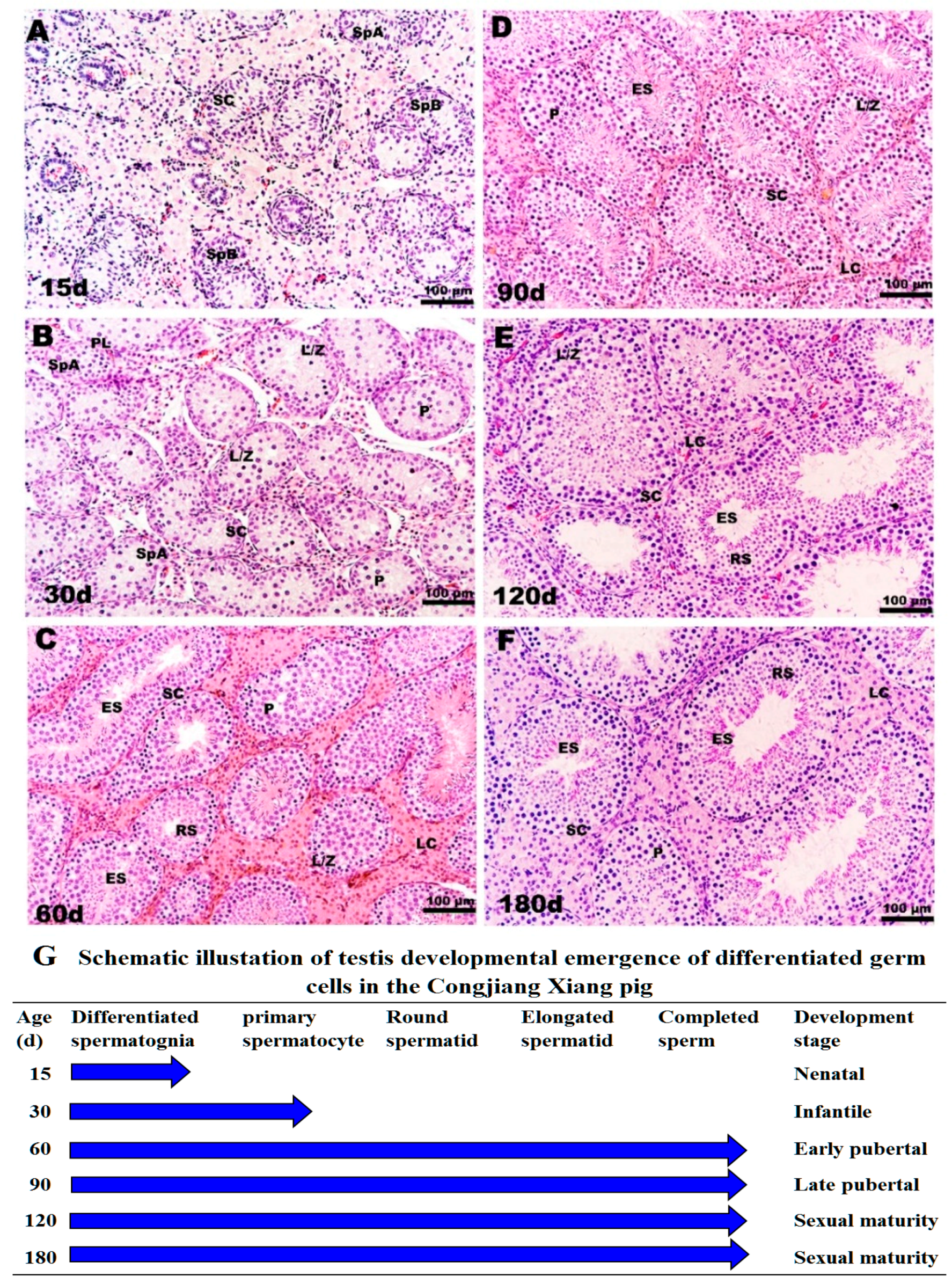 Animals 11 00437 g003