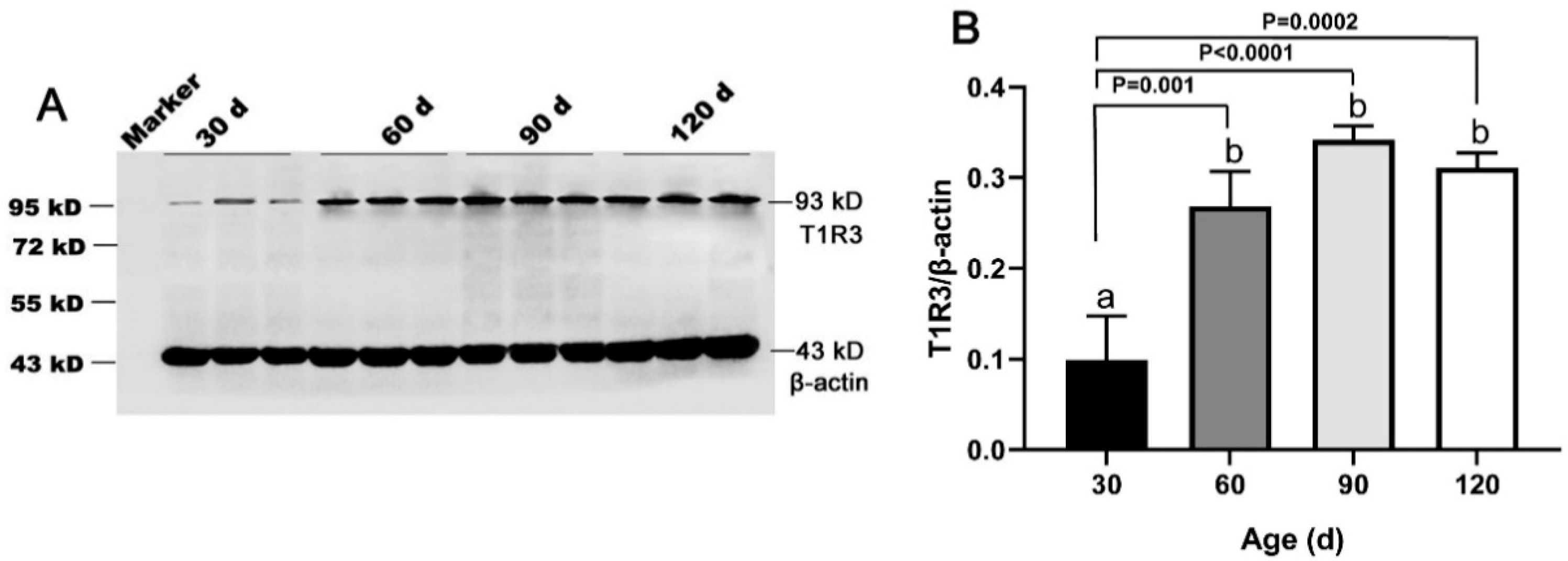 Animals 11 00437 g004