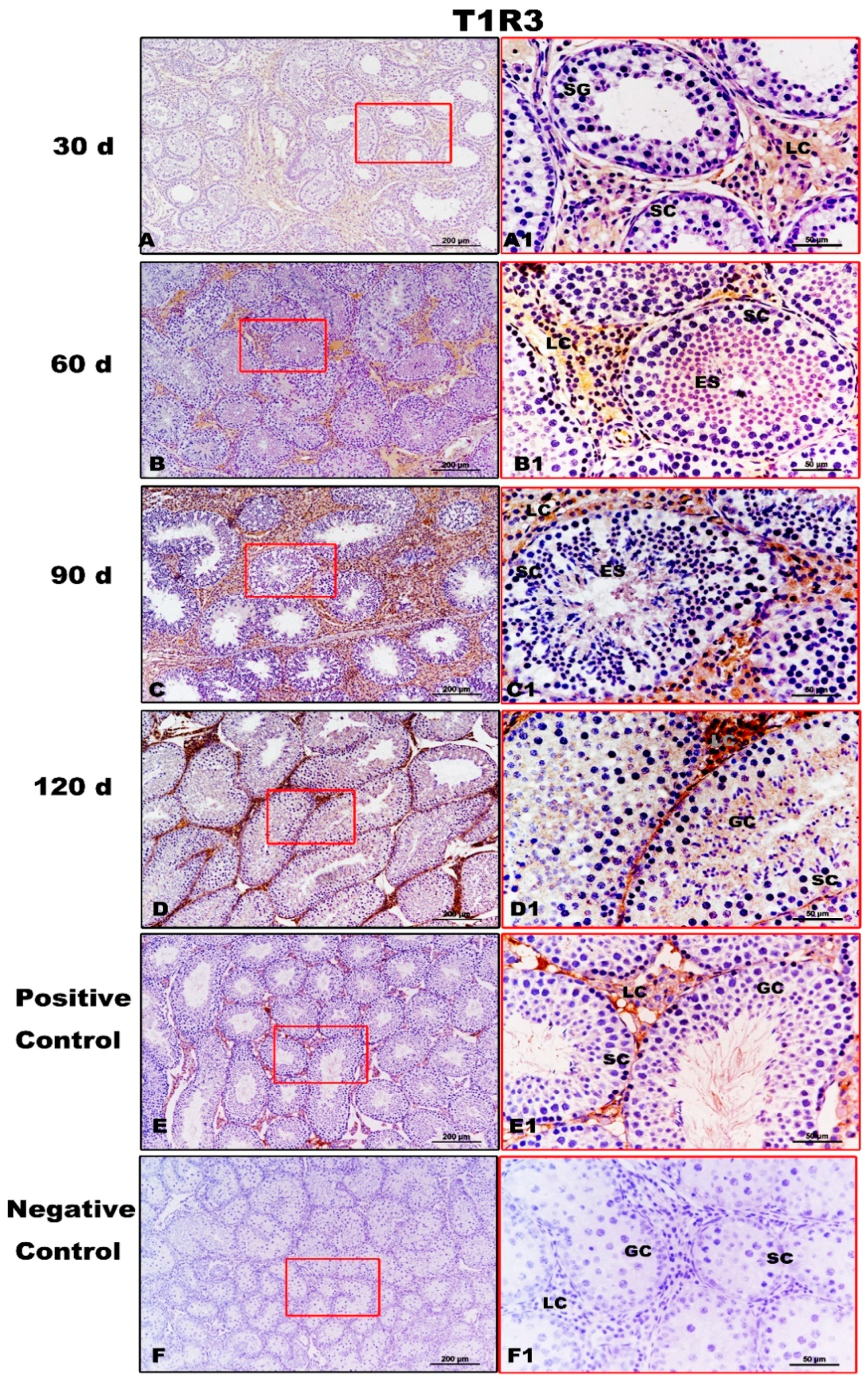 Animals 11 00437 g005