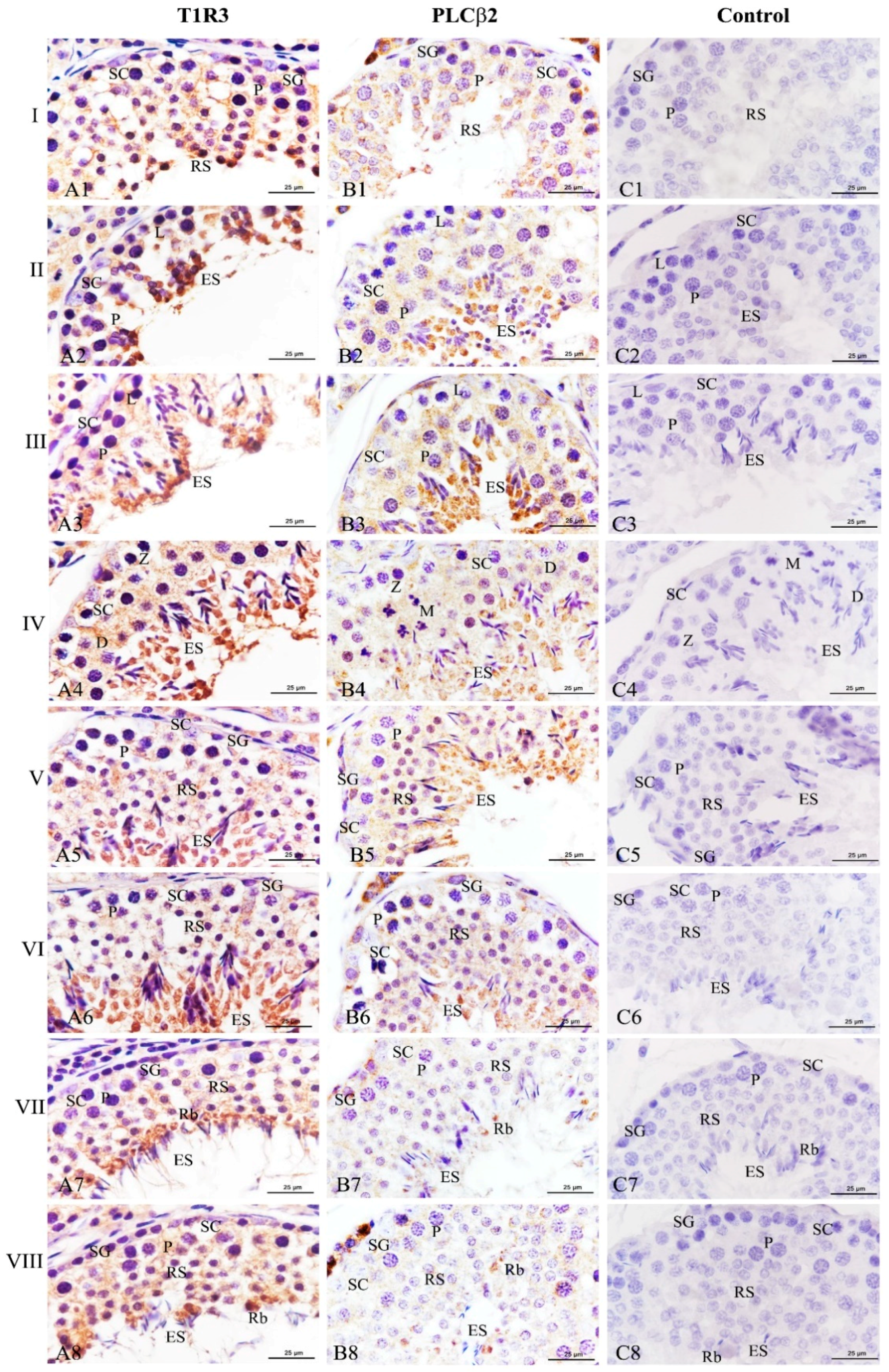 Animals 11 00437 g007