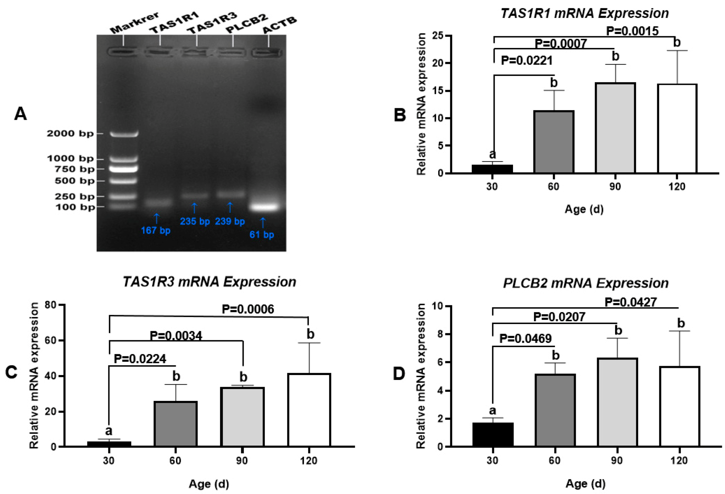 Animals 11 00437 g008