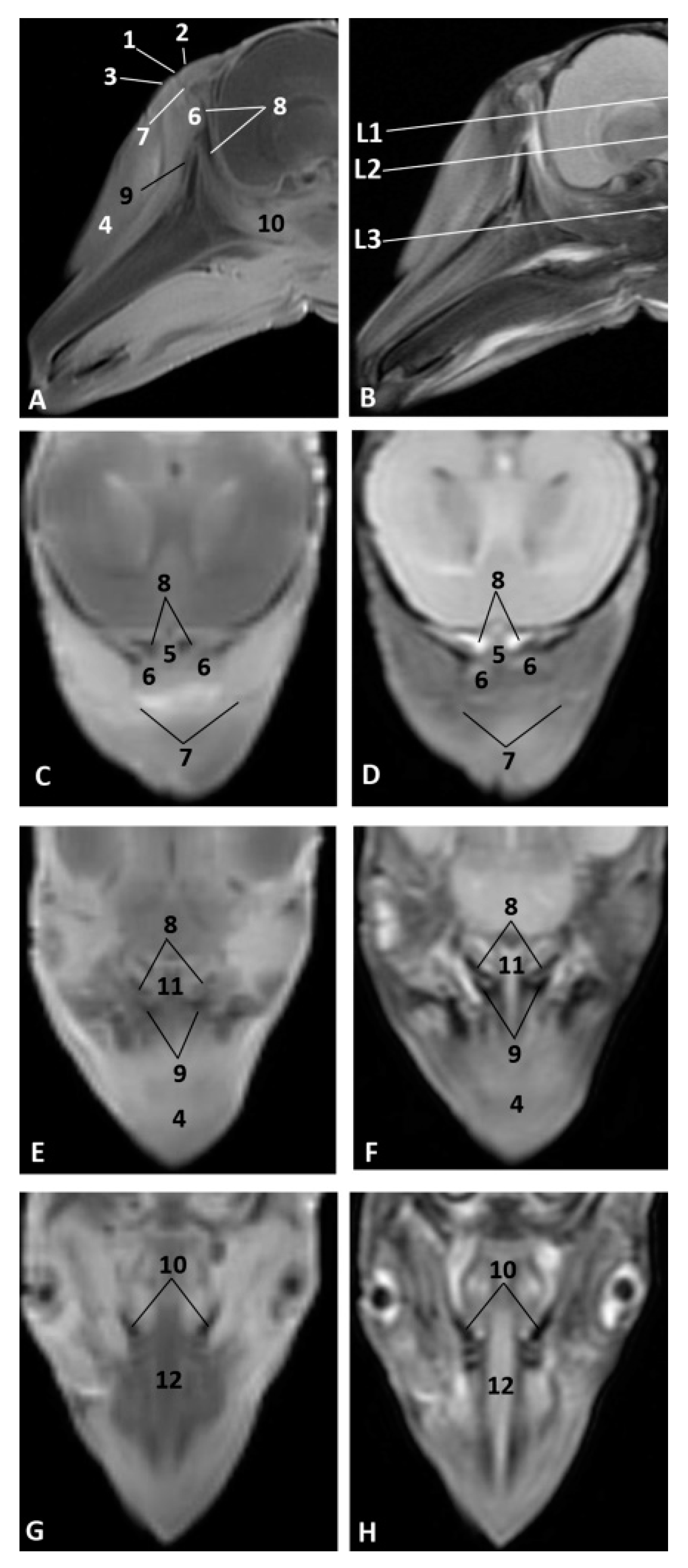 Animals 11 00441 g011