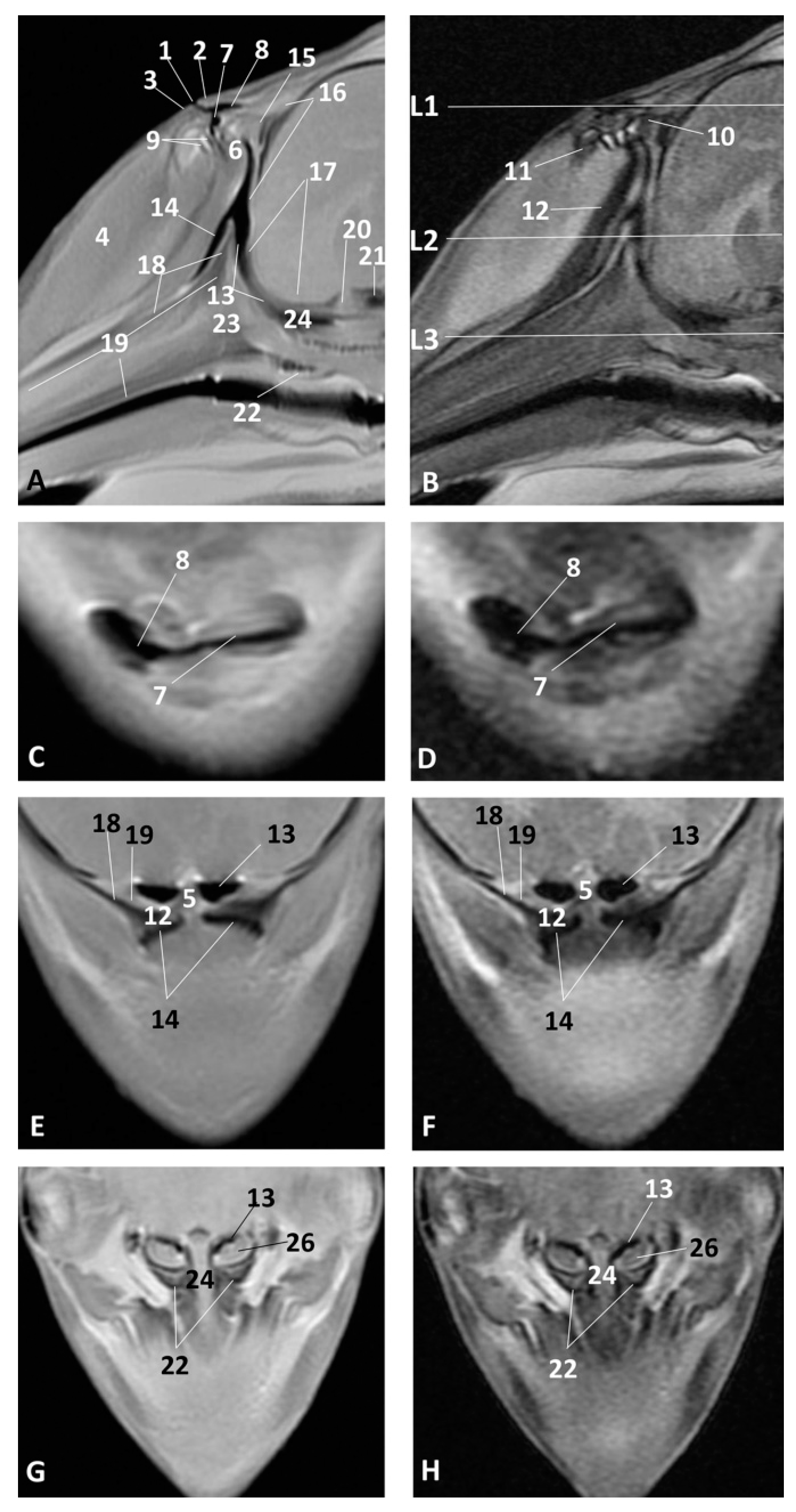 Animals 11 00441 g013