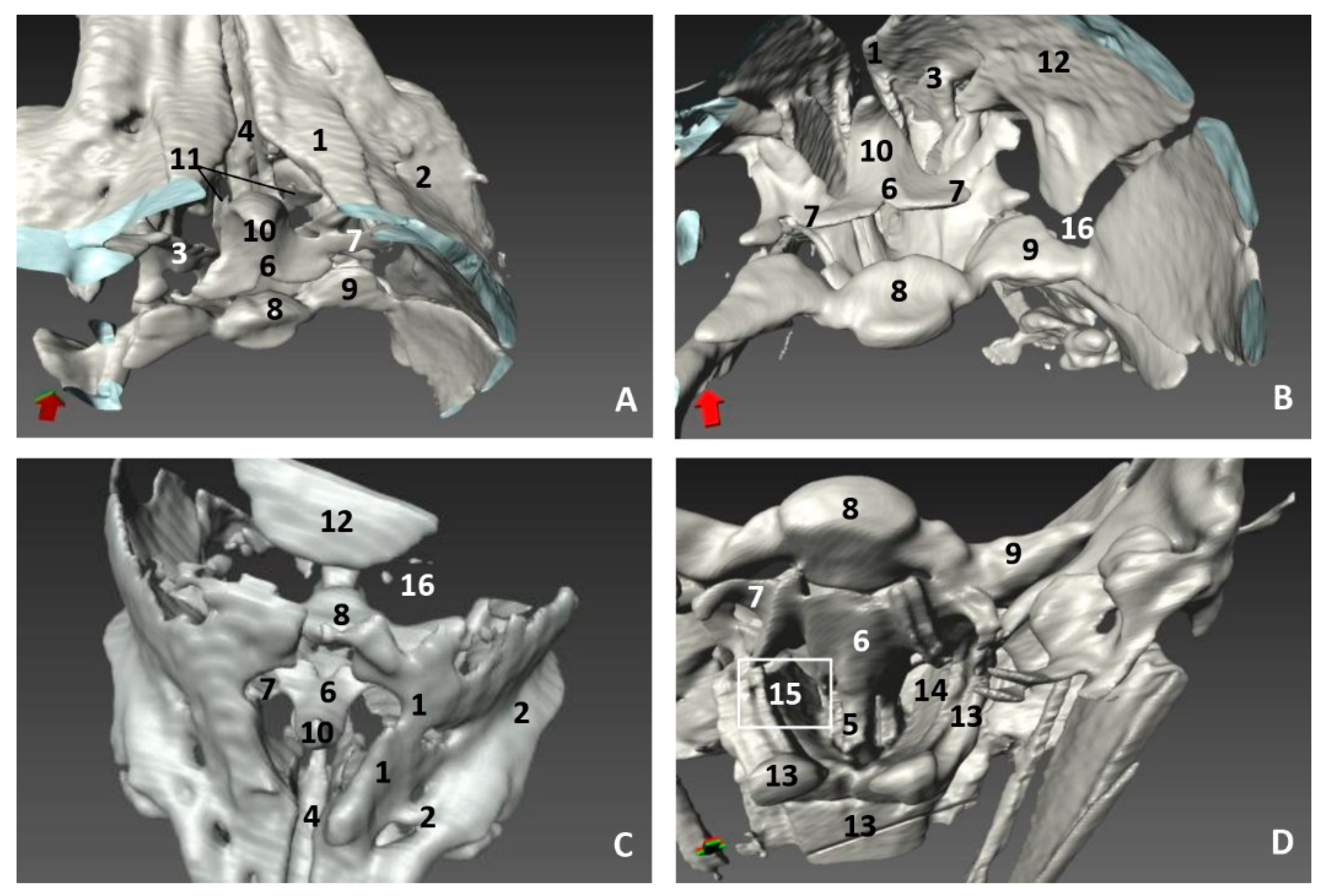 Animals 11 00441 g014