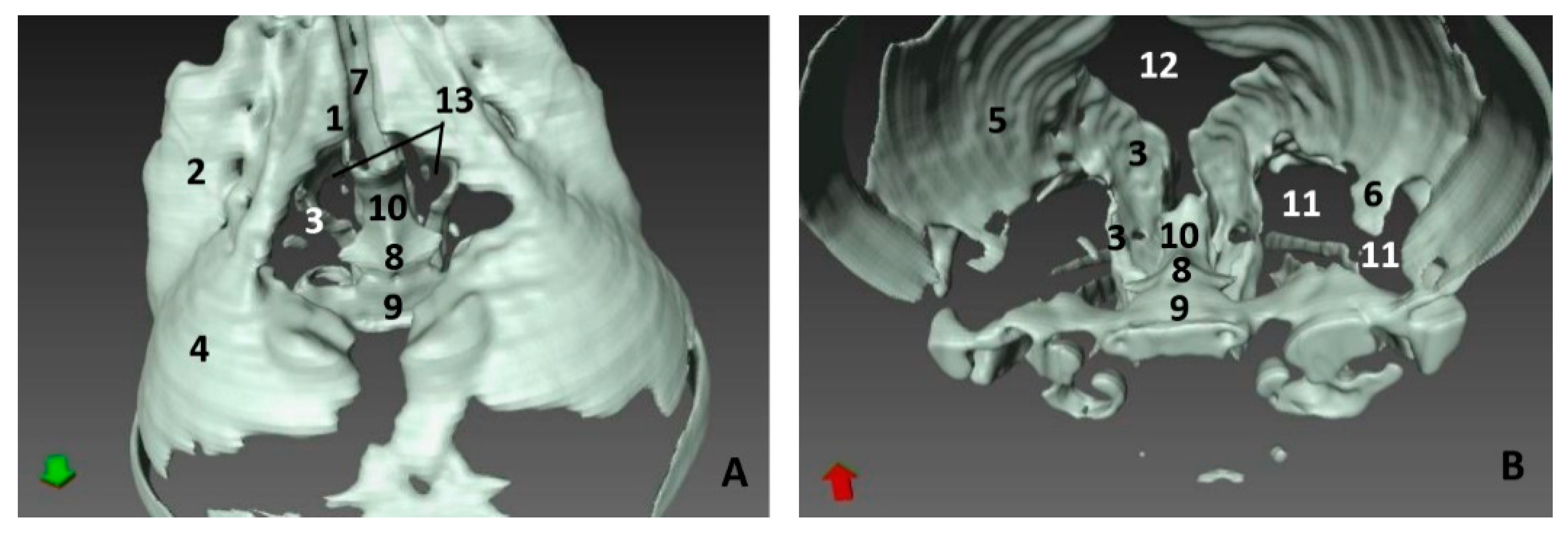 Animals 11 00441 g018