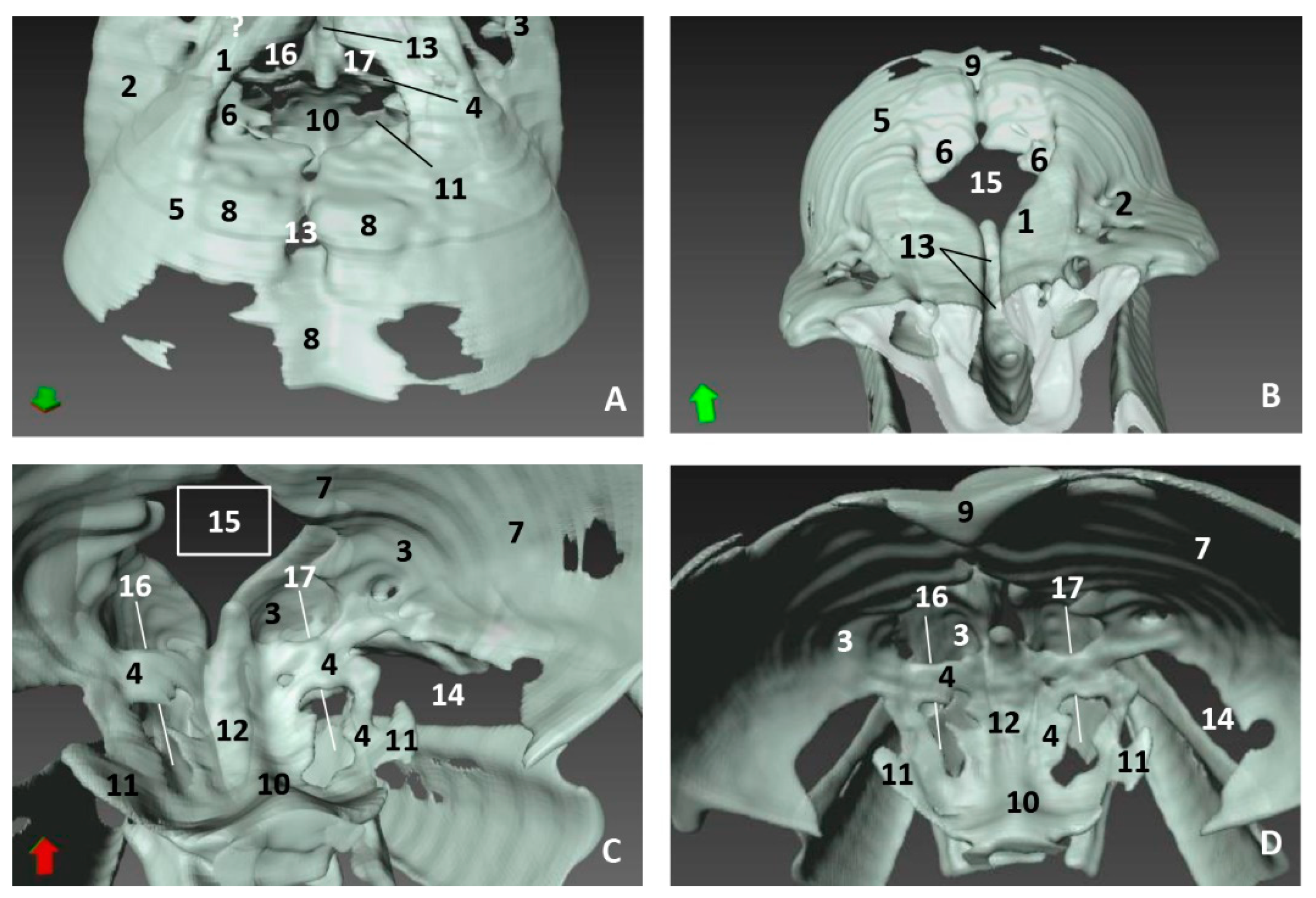 Animals 11 00441 g020