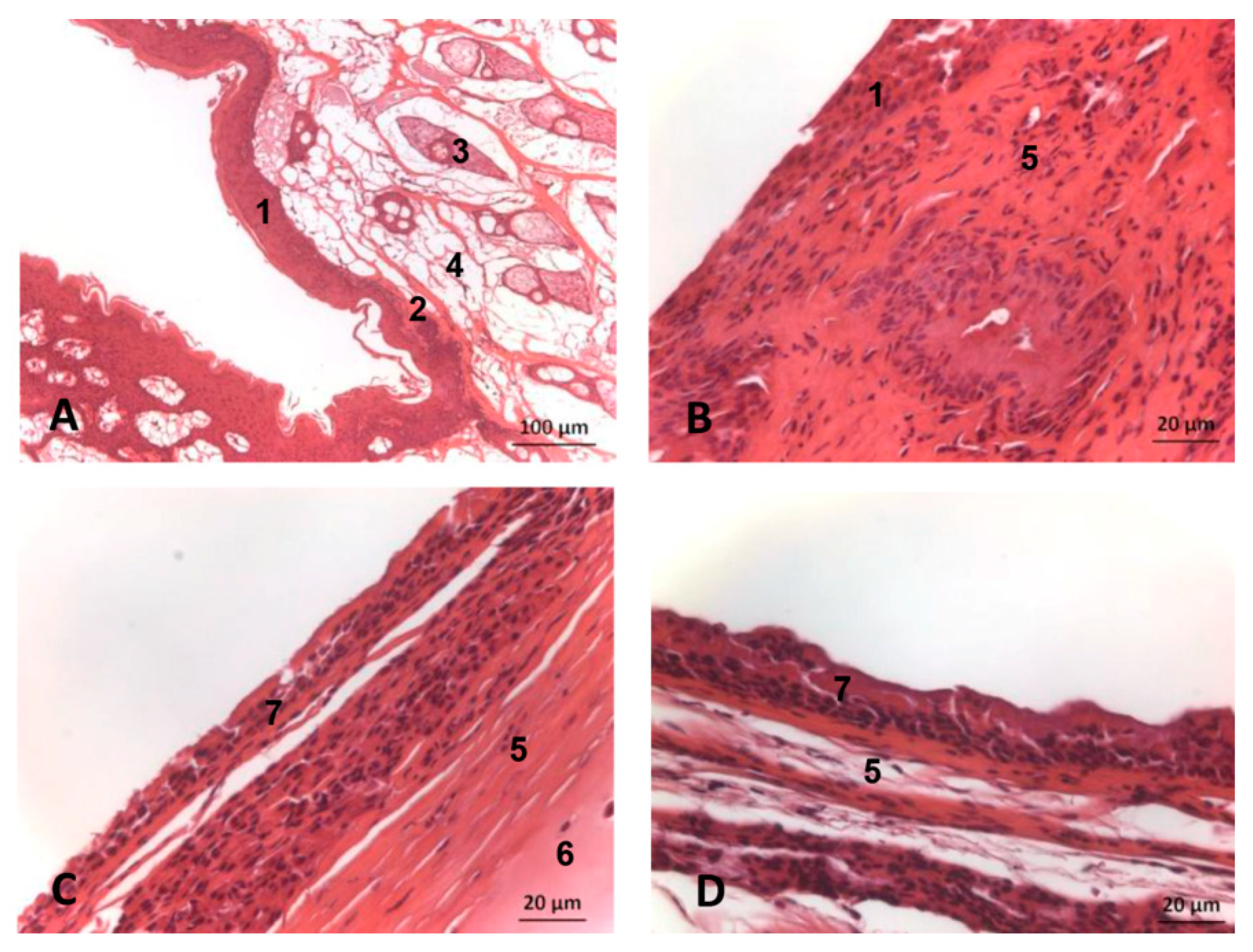 Animals 11 00441 g030