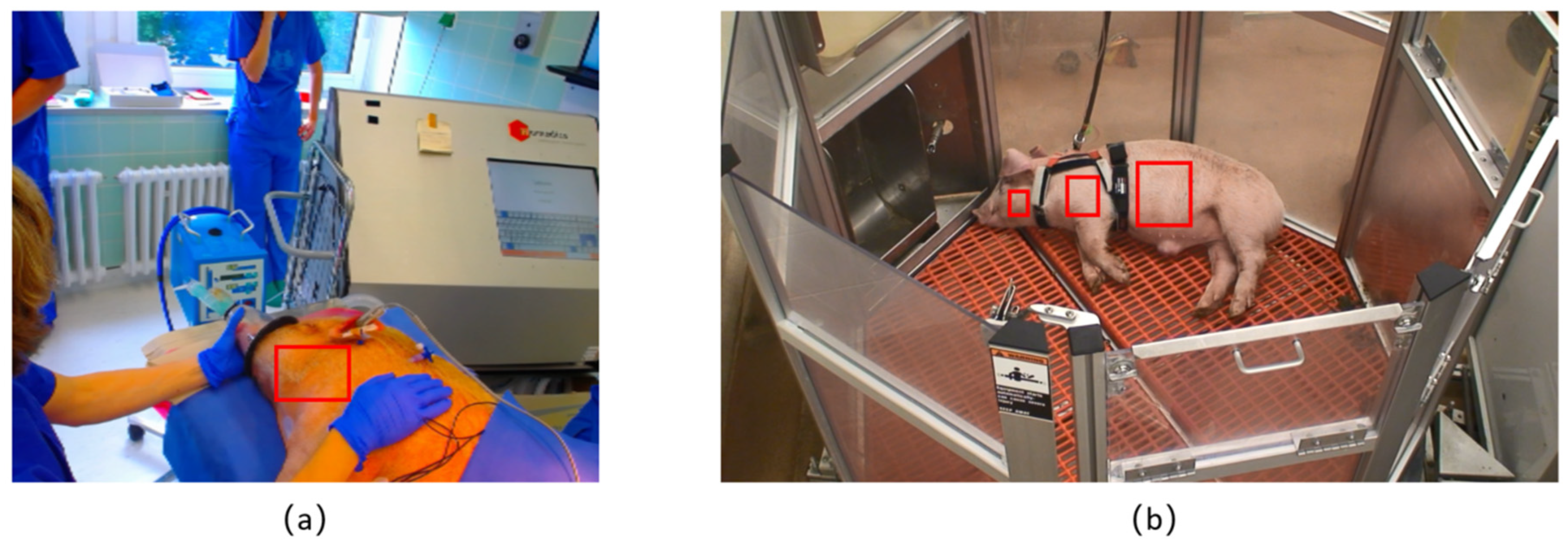 Animals 11 00442 g001