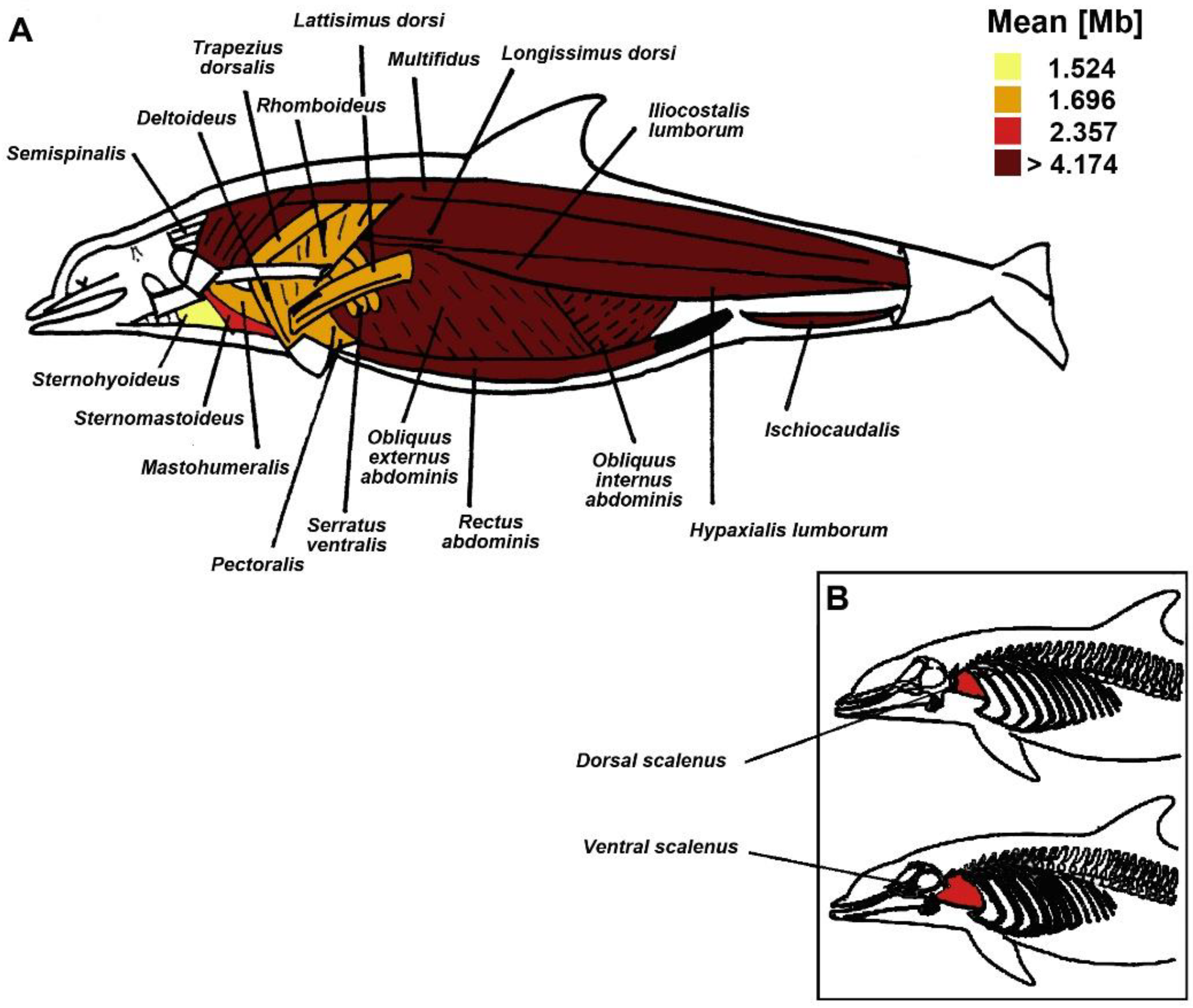 Animals 11 00451 g002
